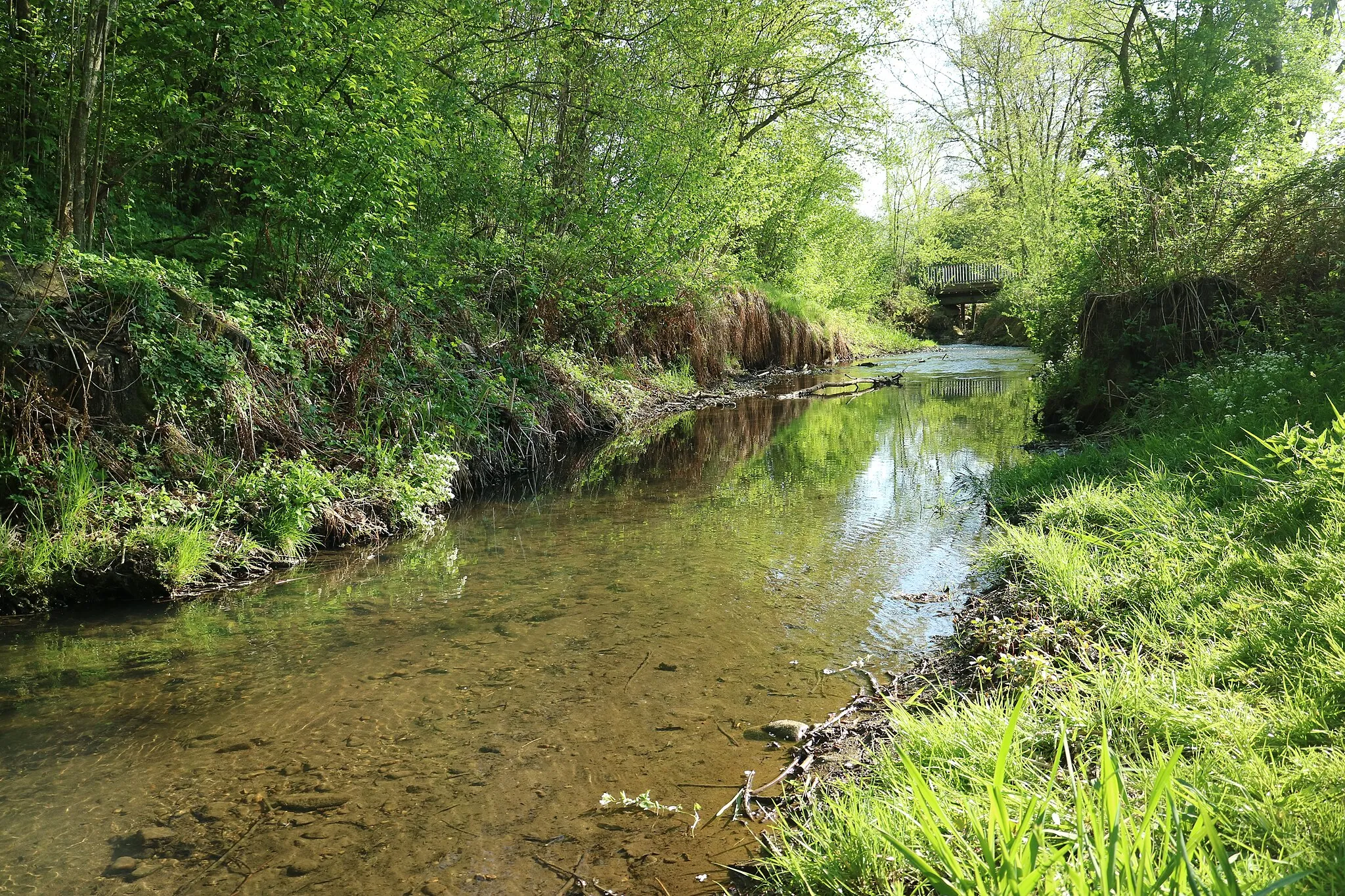 Photo showing: Ferbersbach zwischen Hausmannstätten und Fernitz, Steiermark