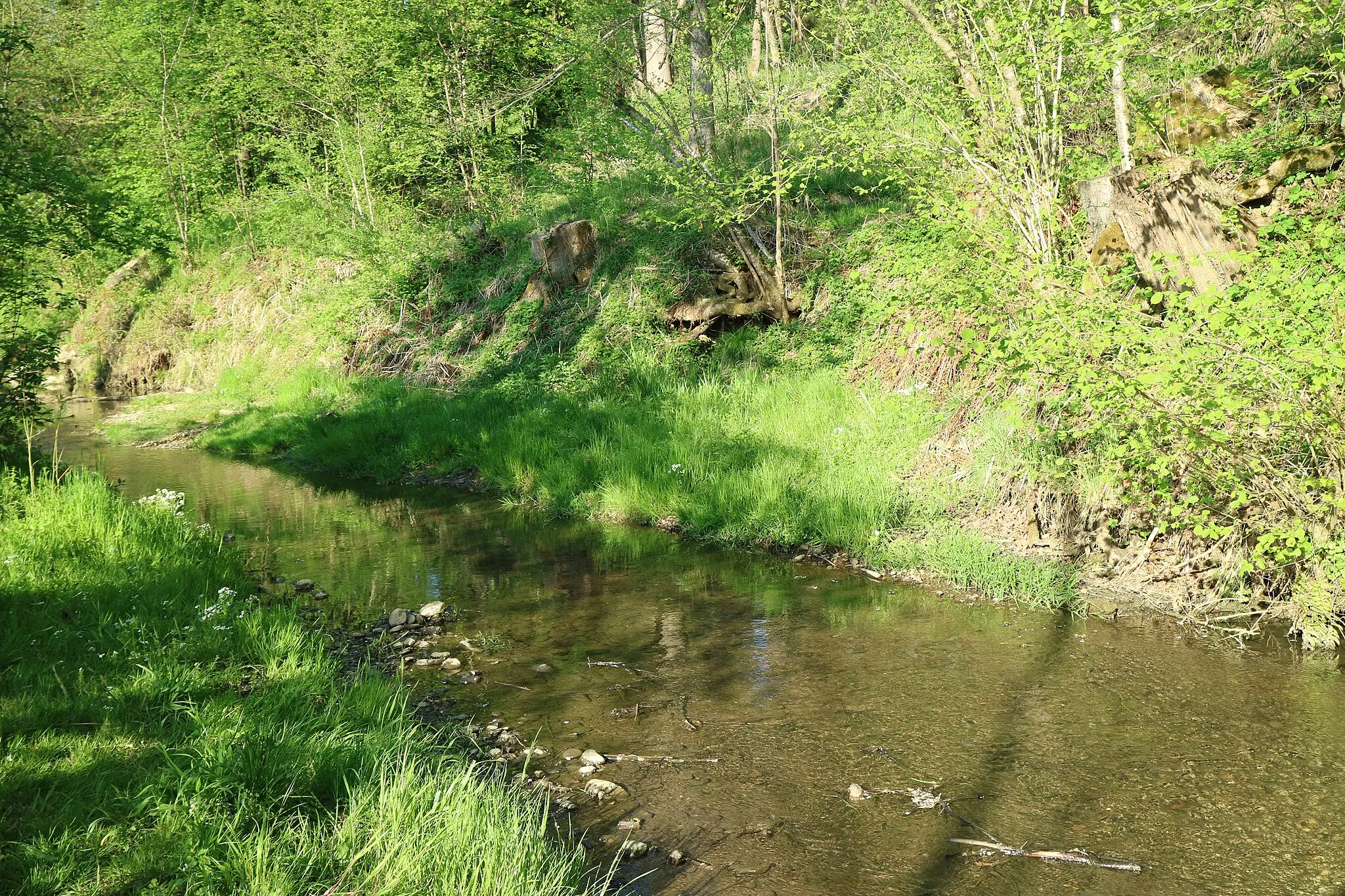 Photo showing: Ferbersbach zwischen Hausmannstätten und Fernitz, Steiermark