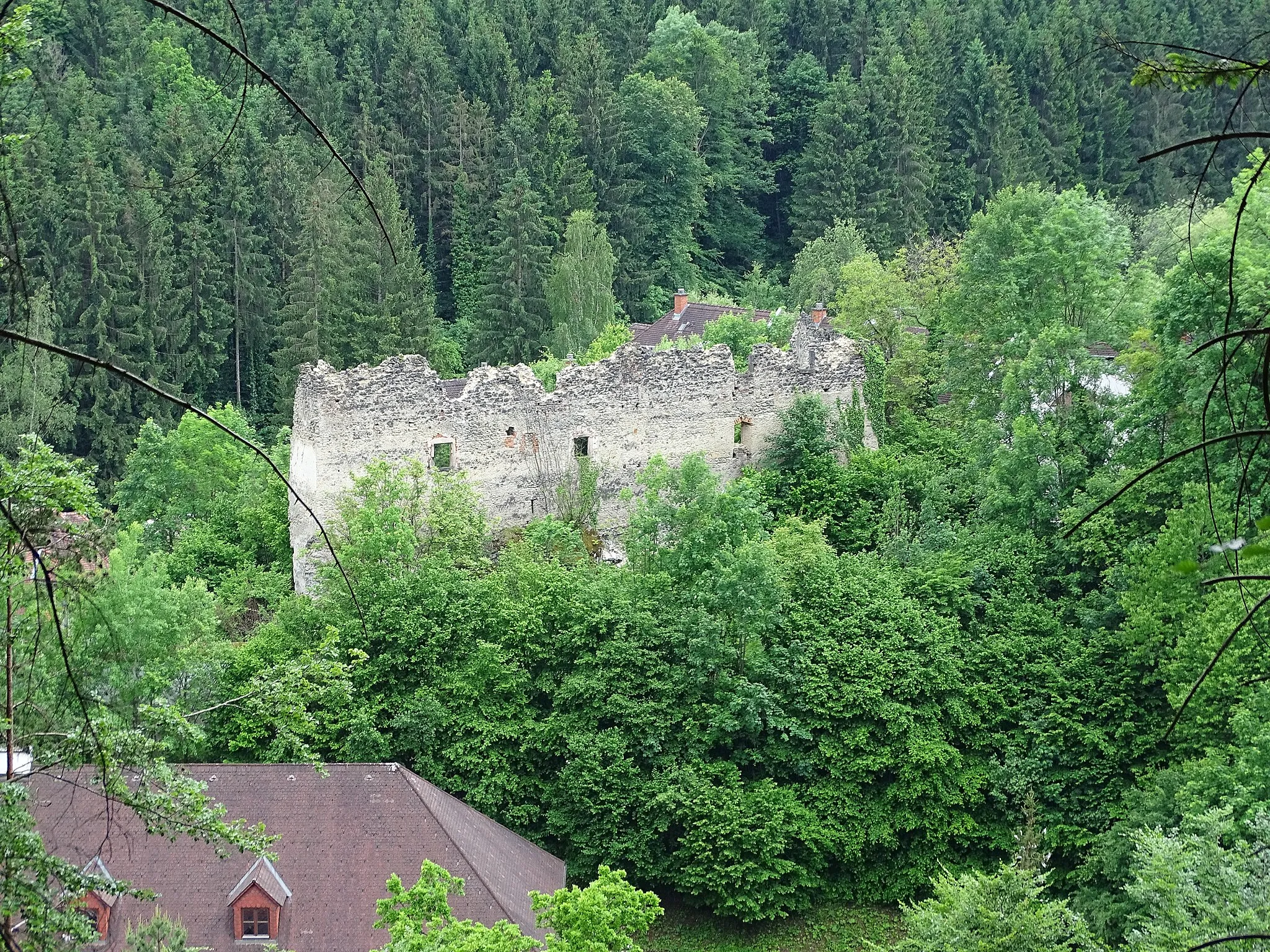 Photo showing: Blick vom Ulrichsberg auf die Burgruine Rein