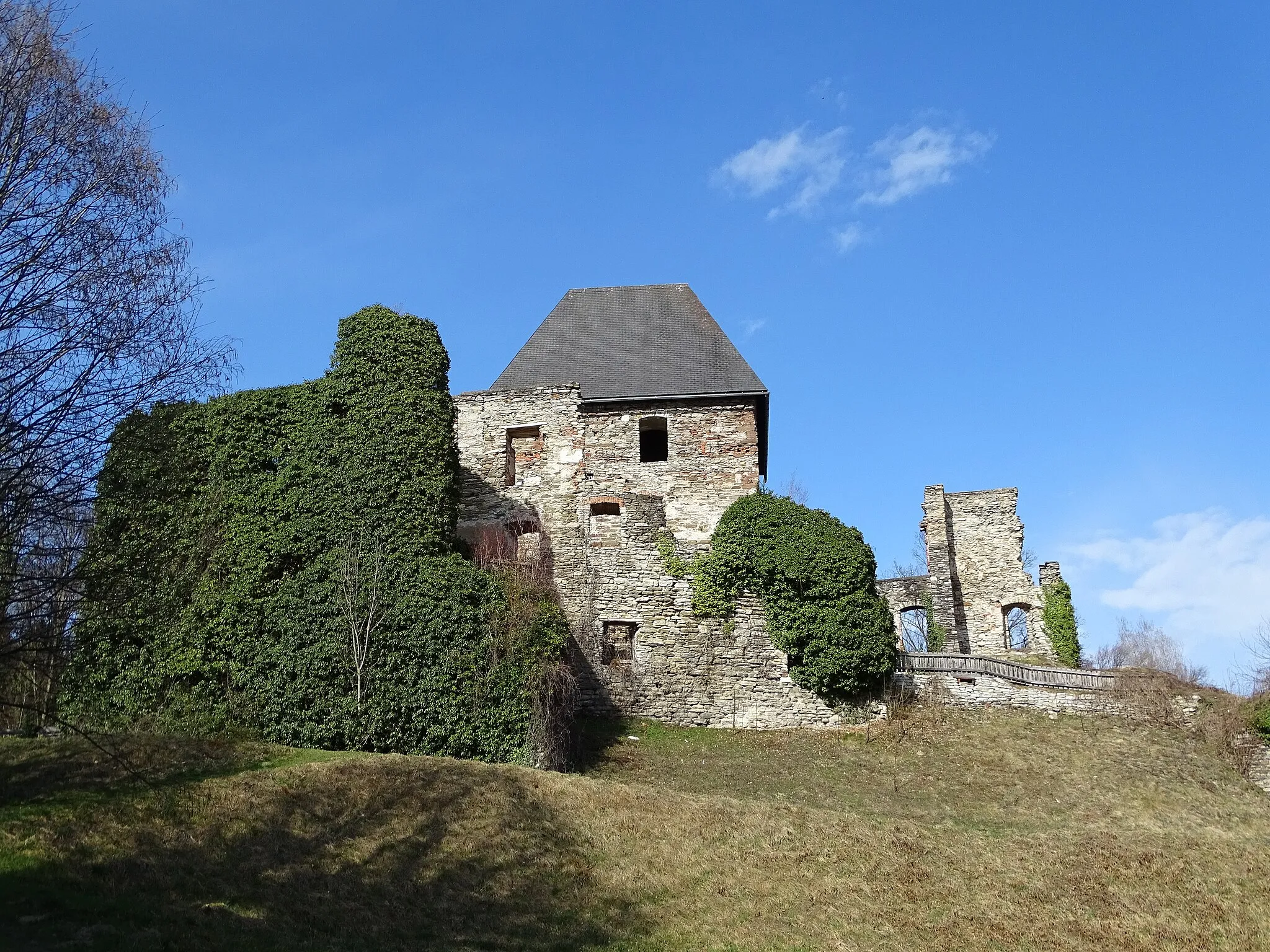 Photo showing: Blick von Süden auf die Burg Ligist
