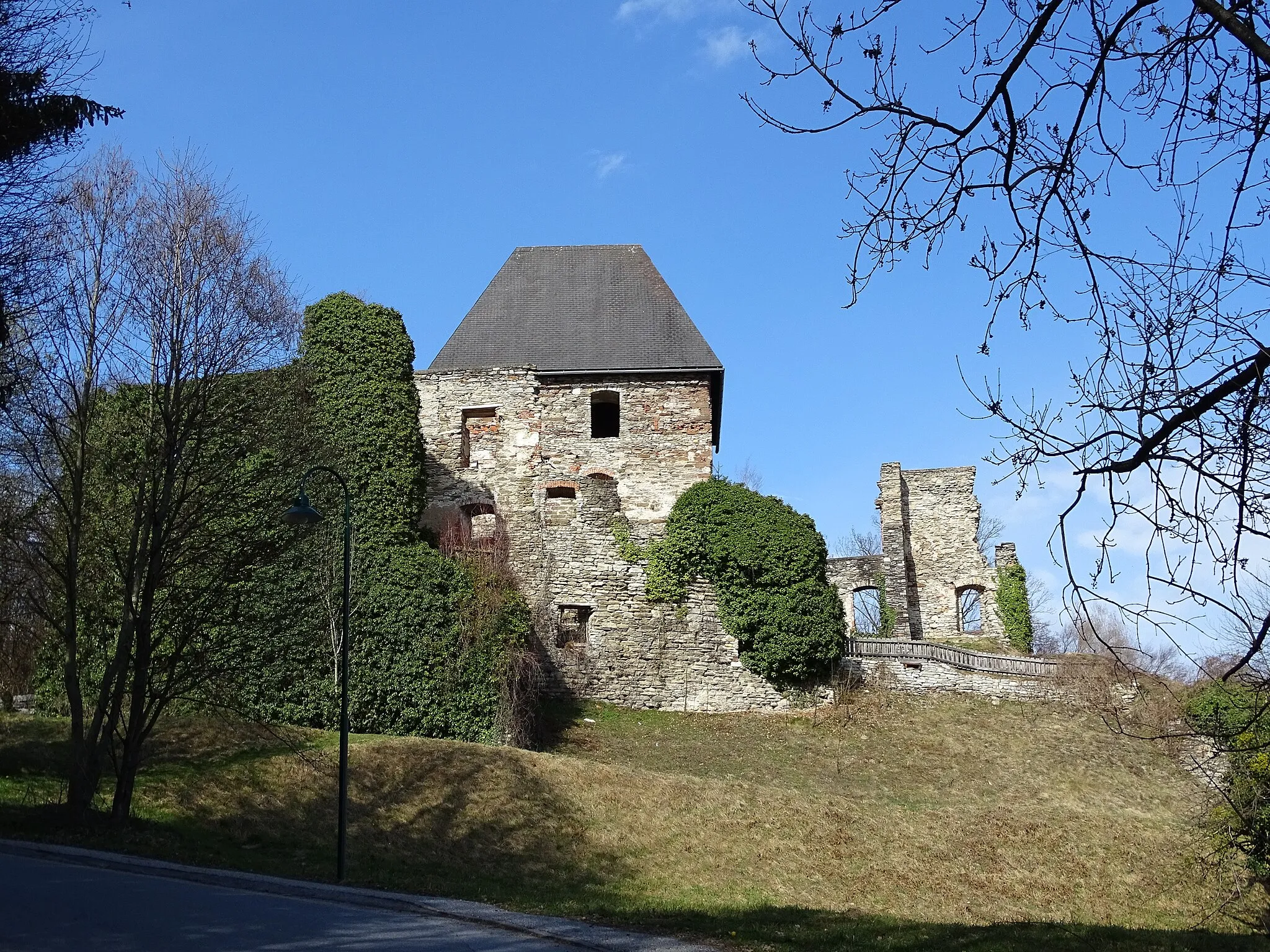 Photo showing: Blick von Süden auf die Burg Ligist