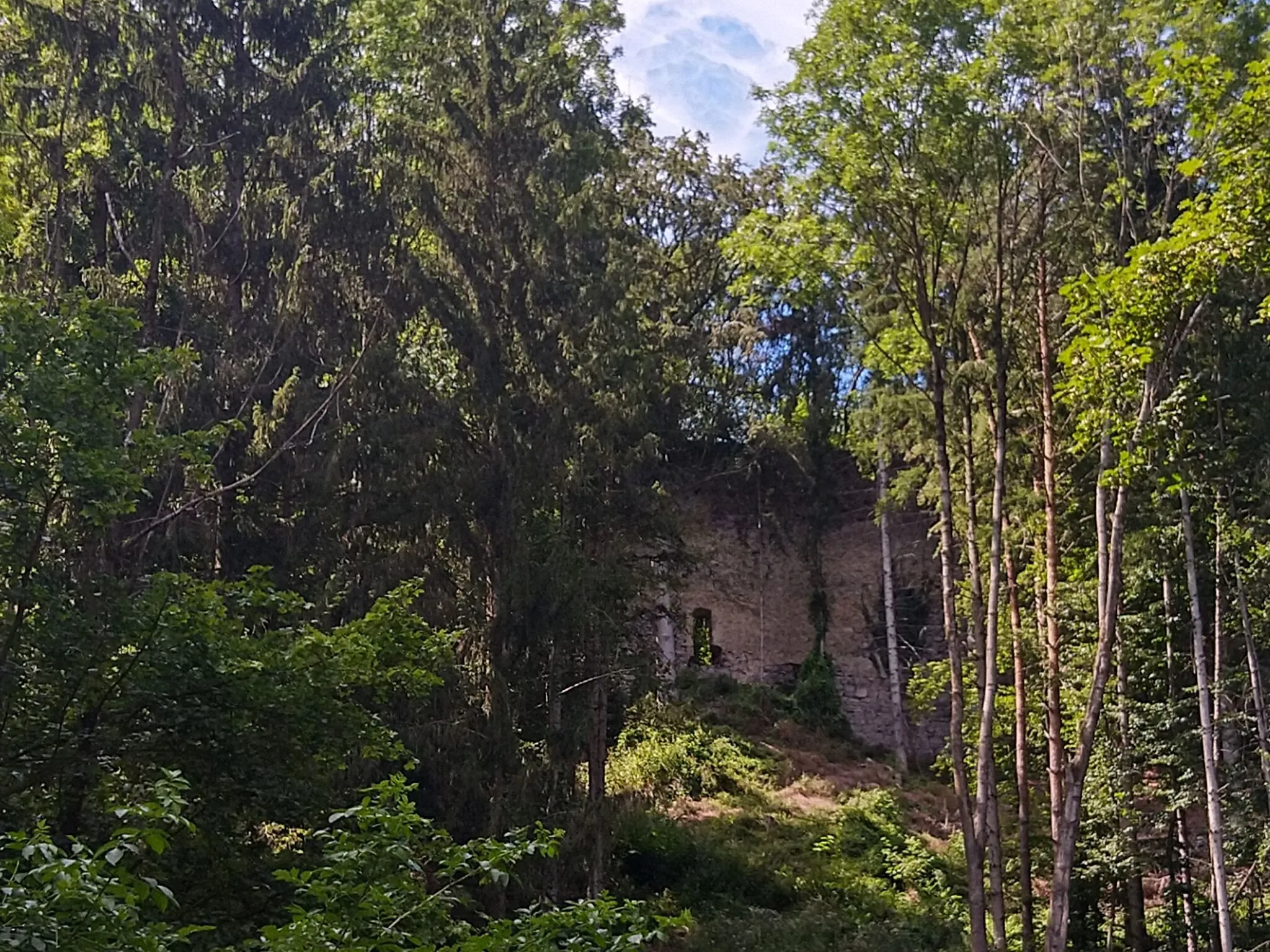 Photo showing: Ruine Pfangberg