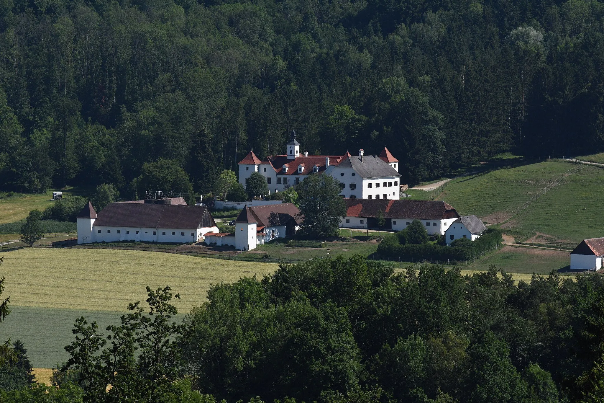 Photo showing: Schloss Dornhofen