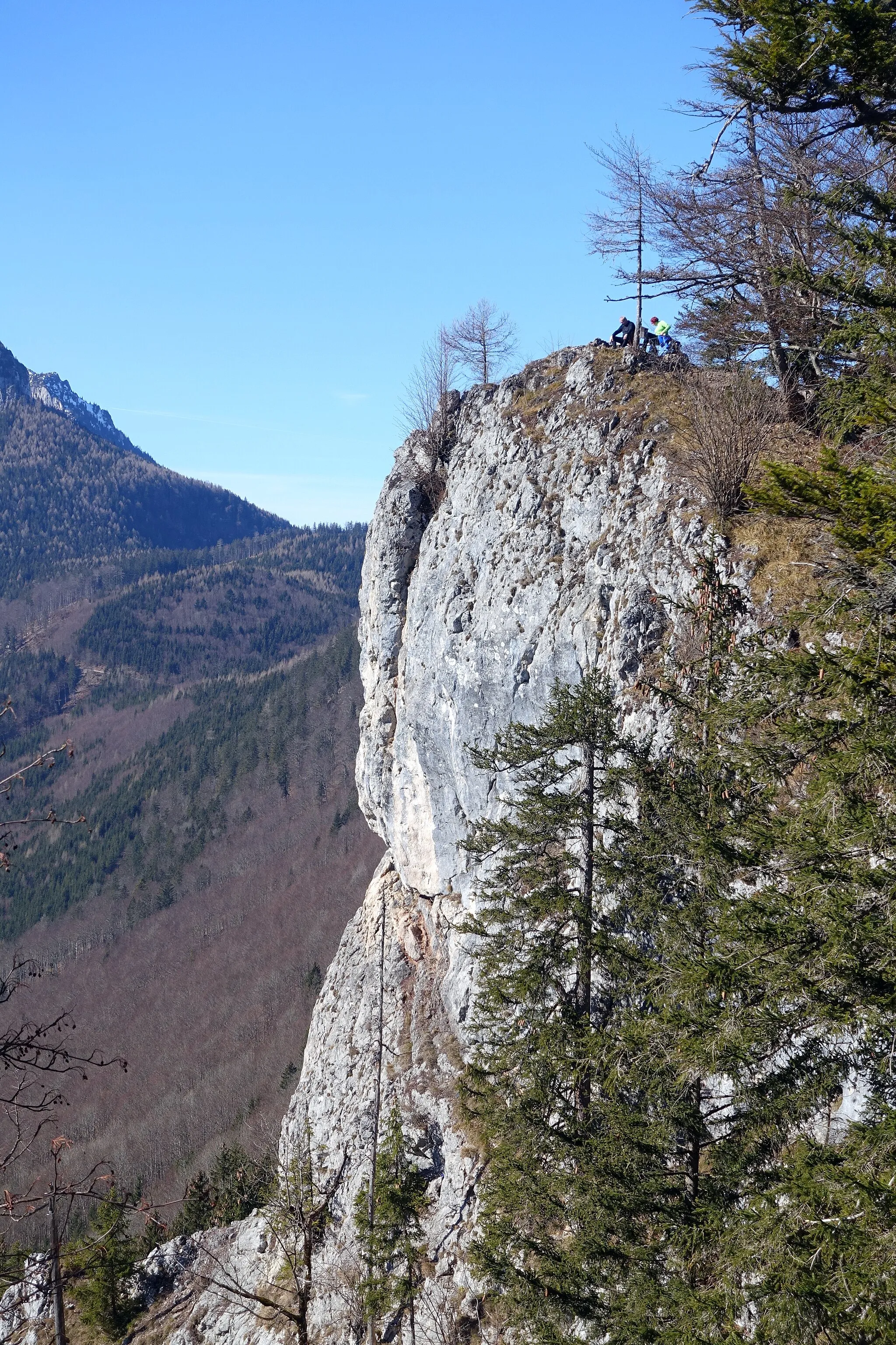 Photo showing: Vorderer Signalkogel, Ebensee, Österreich