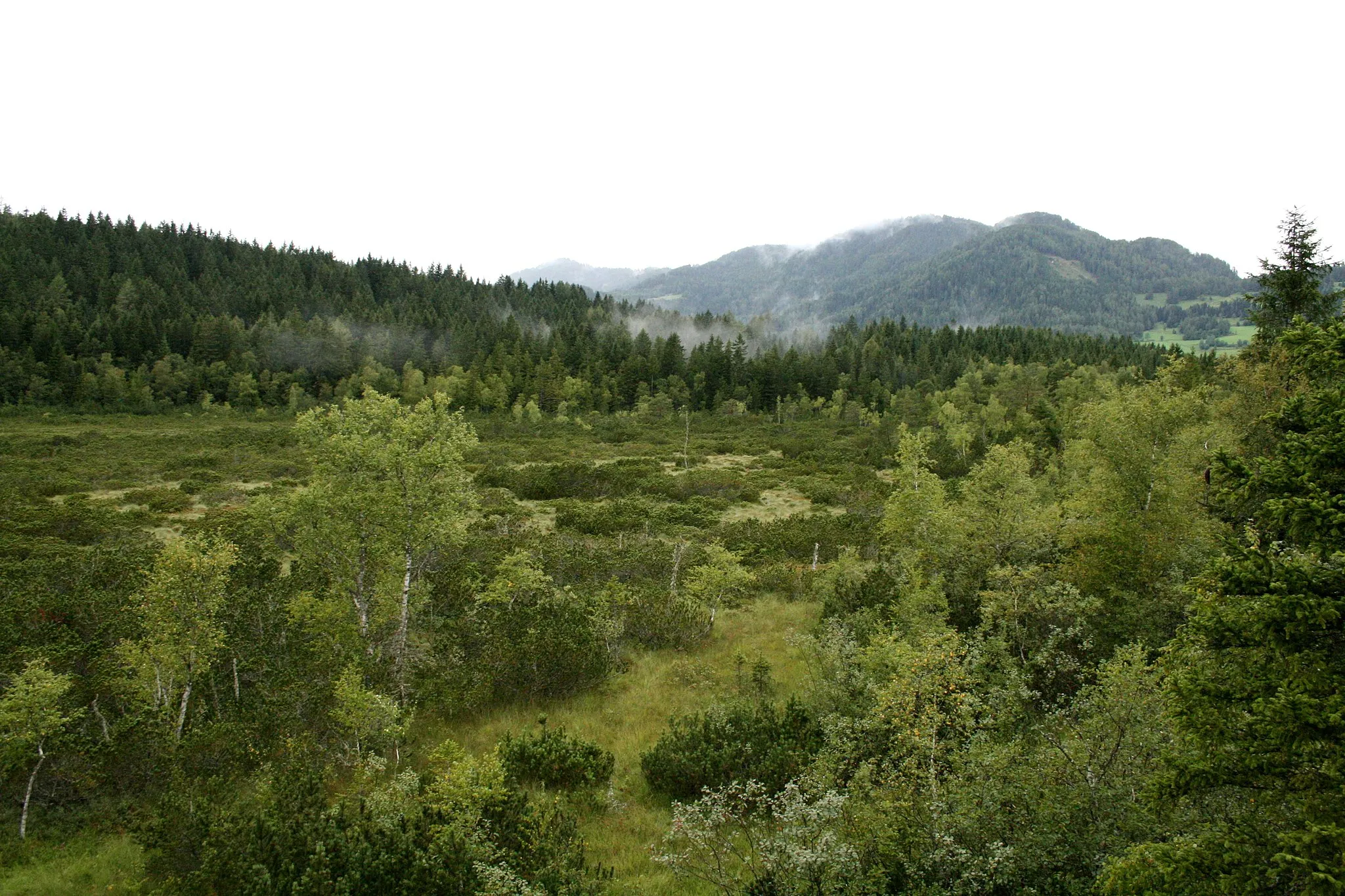 Photo showing: Dürnberger Moor in Mariahof, Styria, Austria