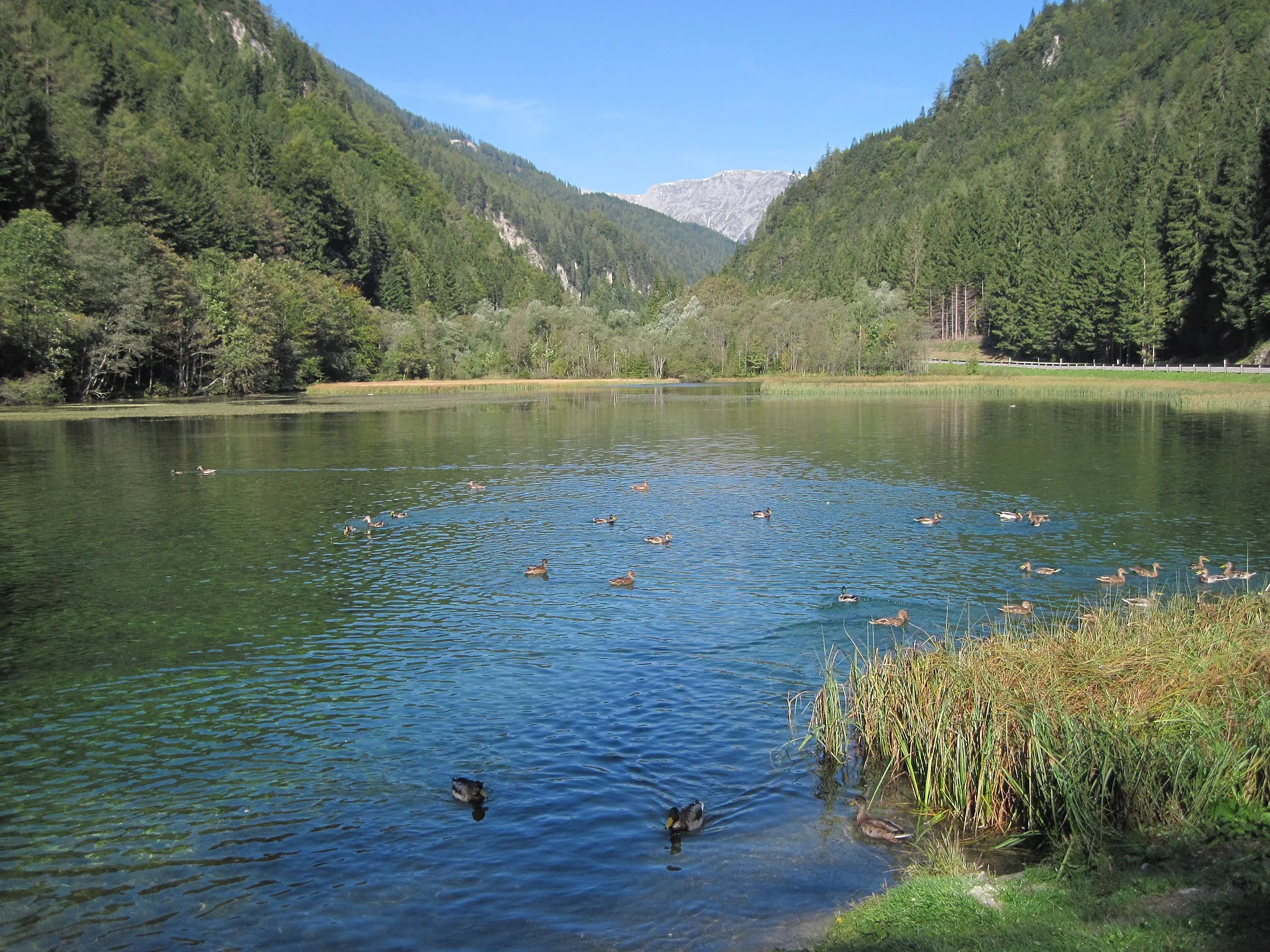 Photo showing: Grüner See am nördlichen Ortsausgang von Au