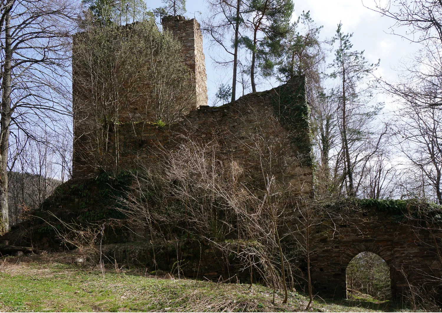 Photo showing: castle ruin Hartneidstein, Eitweg, municipality Sankt Andrä Carinthia, Austria EU
