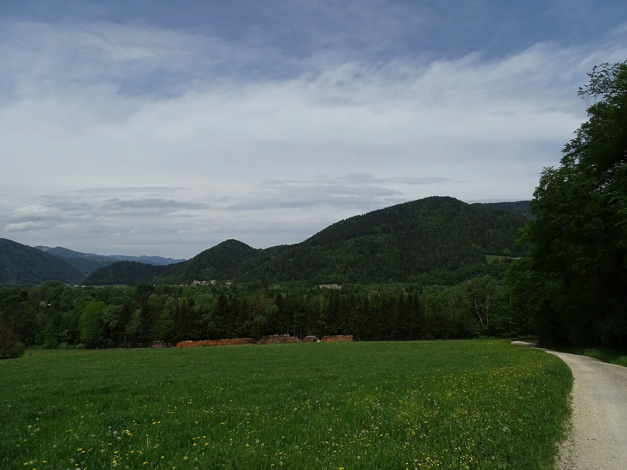 Photo showing: Blick von Südwesten, vom Glettlerweg bei Adriach auf den Lammkogel bei Frohnleiten