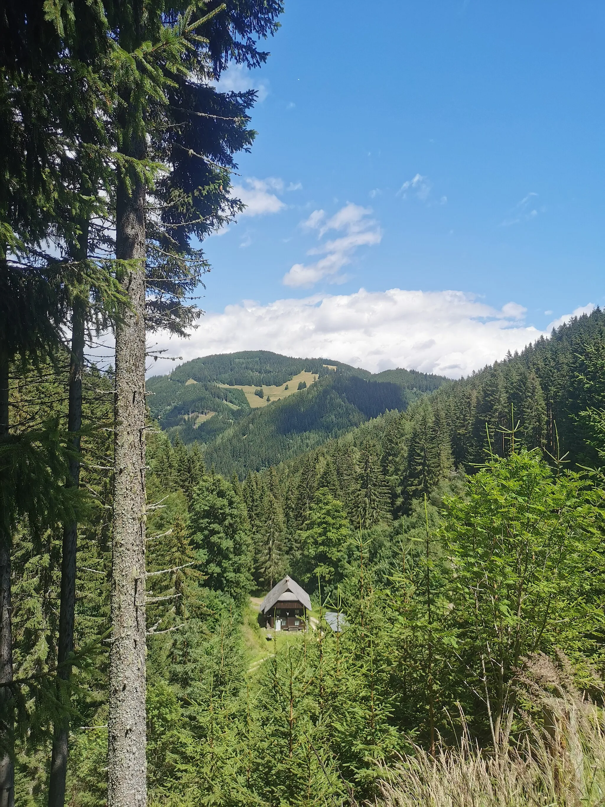Photo showing: Blick vom südwestlichen Ende des Utschgrabens nach Nordosten auf den Westteil des Brucker Hochangers (Dürreck, 1395m). Im Vordergrund ein Forsthaus des Forstbetriebs Franz Mayr-Melnhof-Saurau.
