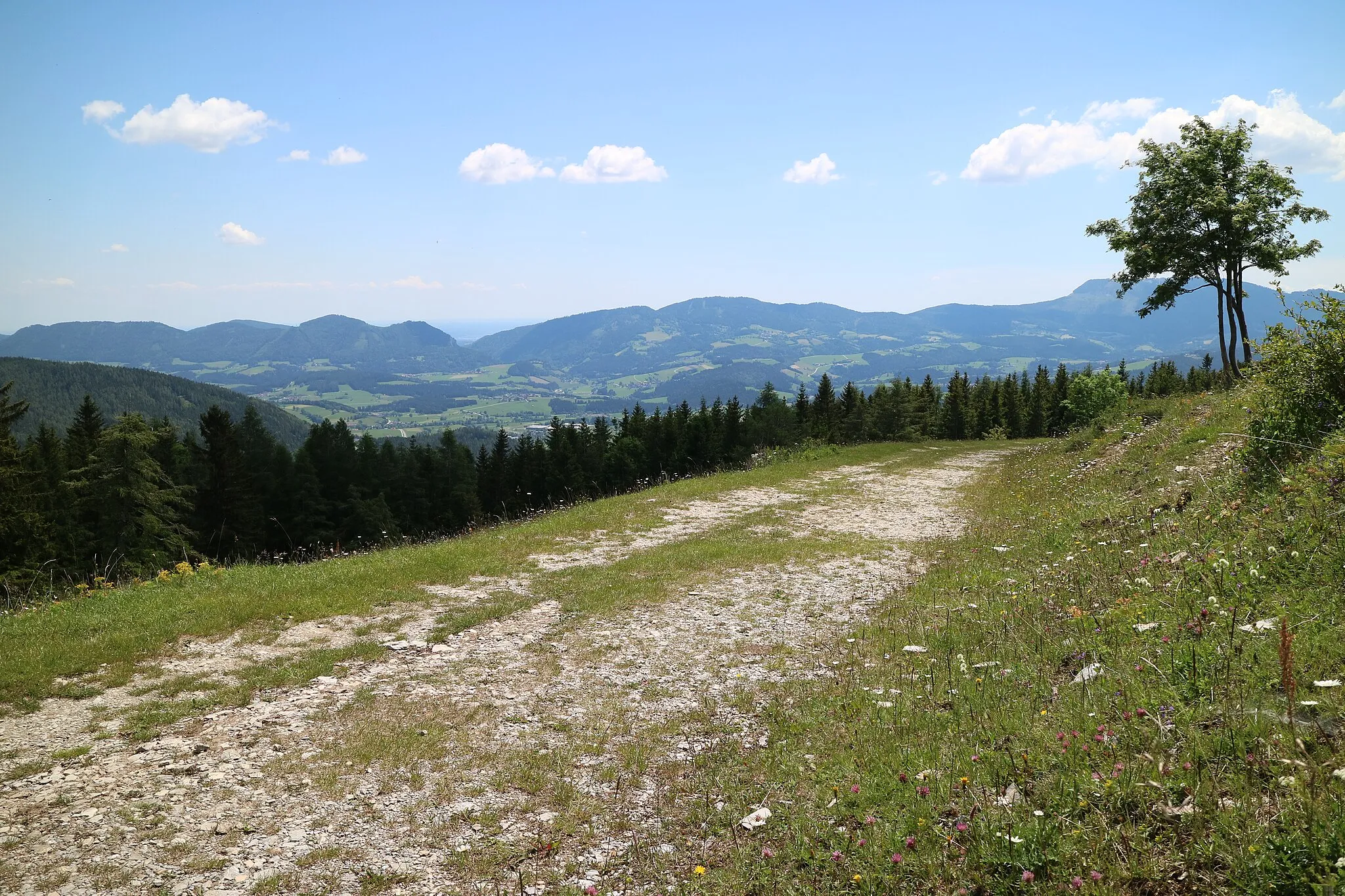 Photo showing: Forstweg am Gschaidberg mit Blick ins Passailer Becken, Grazer Bergland, Steiermark