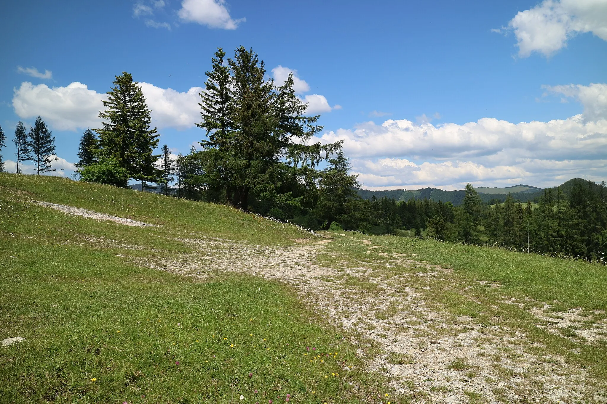 Photo showing: Forstweg am Gschaidberg mit Blick ins Passailer Becken, Grazer Bergland, Steiermark