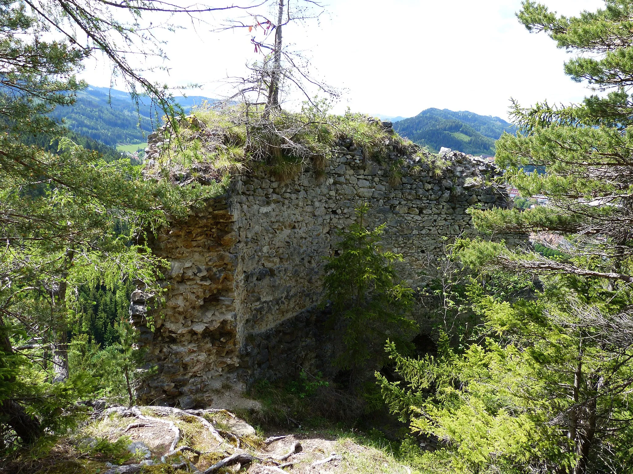 Photo showing: Burgruine Liechtenstein