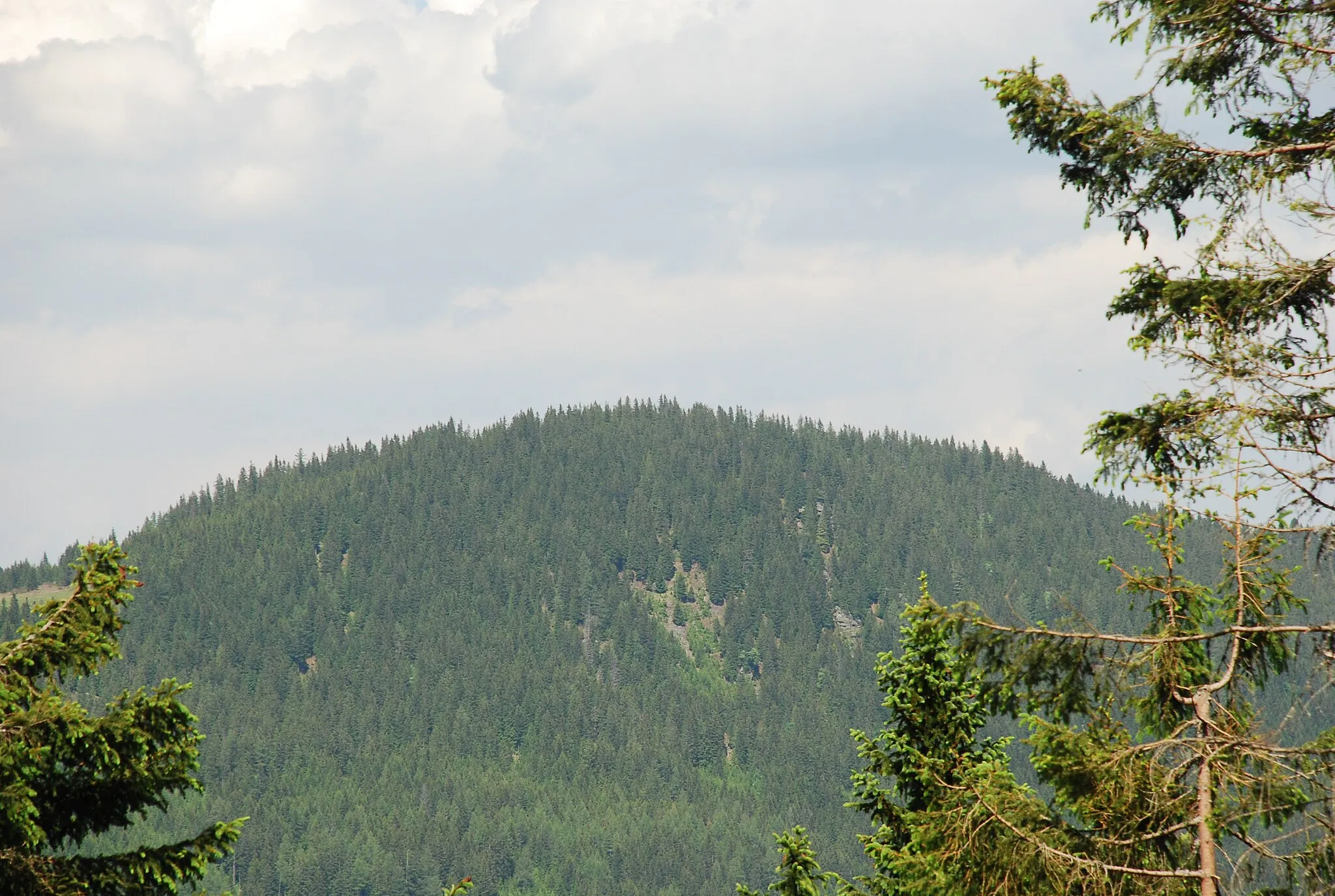 Photo showing: Gipfelkuppe des Schwarzkogels, 1550 m