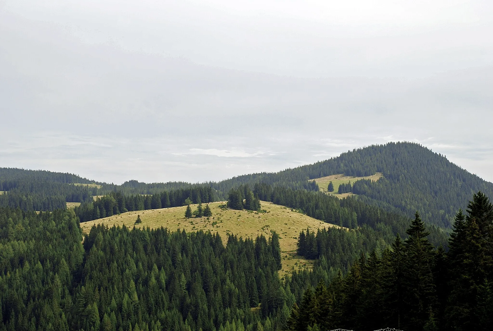 Photo showing: Freiländer Alm, Hebalm, Steiermark, Österreich: Almgebiet im mittleren Koralpenzug, Weide, Bewaldung am Blochriegel (Standort des Windparks Freiländeralm, Stand September 2013).