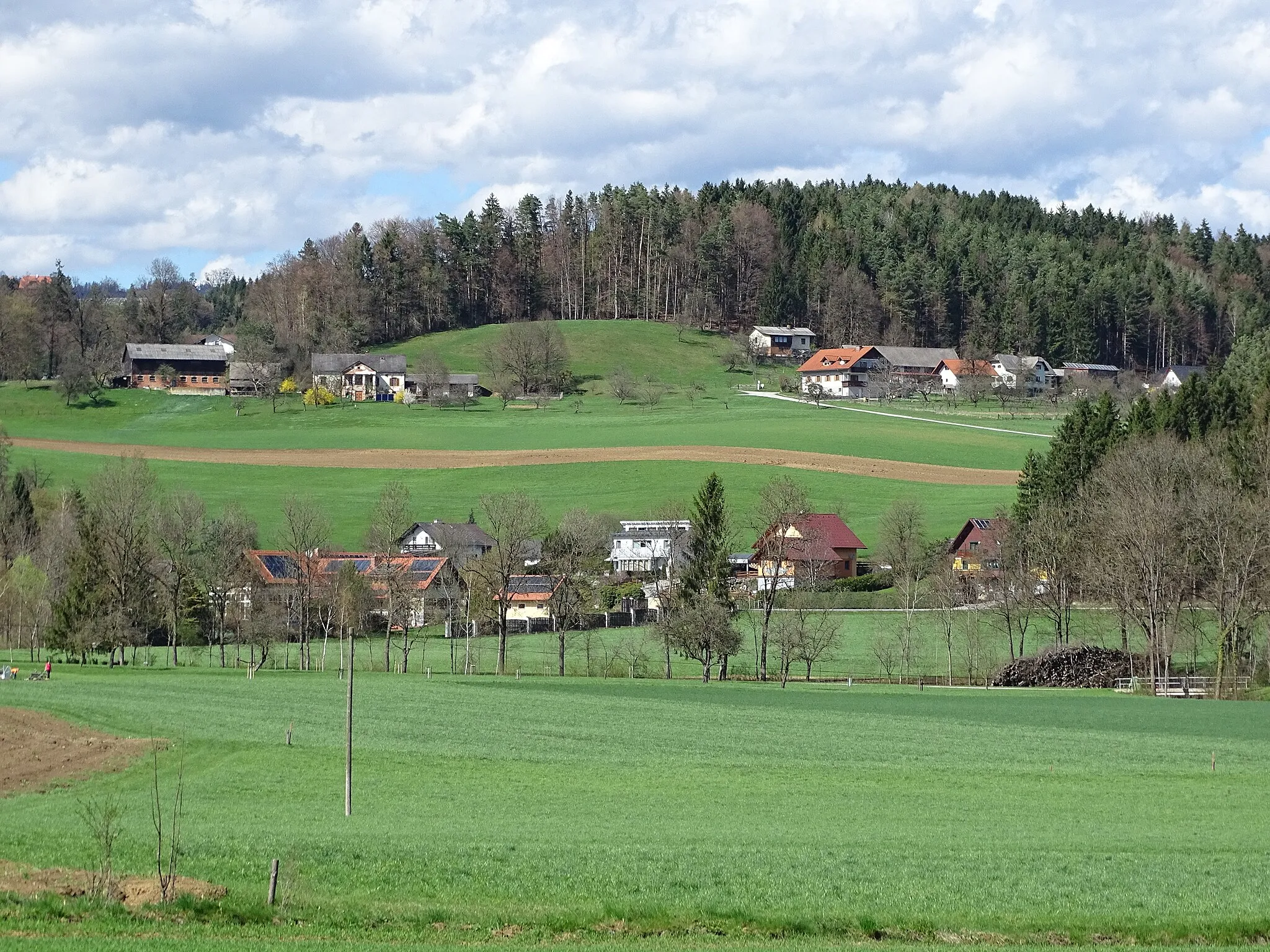 Photo showing: View from Lichtenegg to Jaritzberg