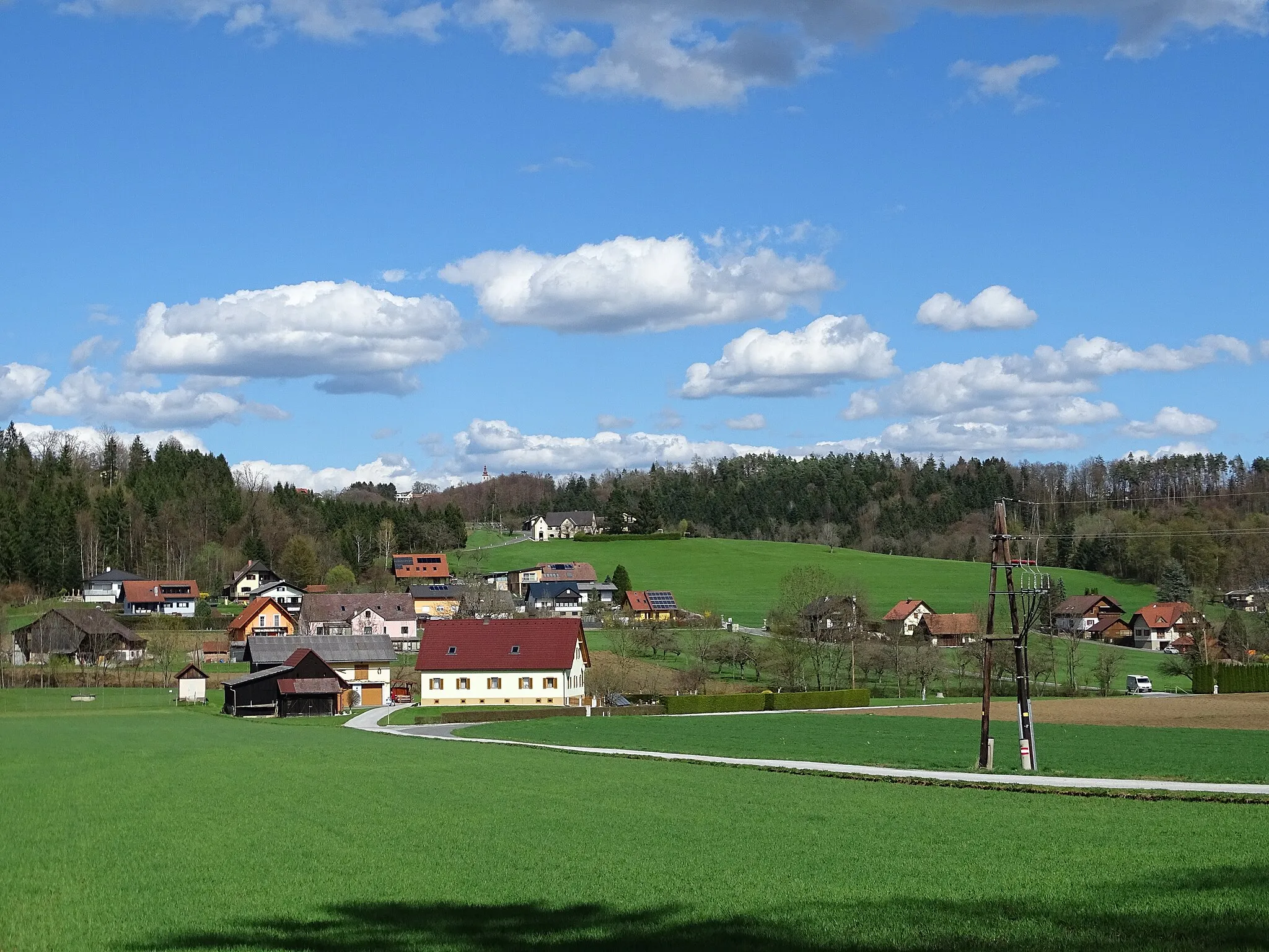 Photo showing: View from Lichtenegg to Jaritzberg