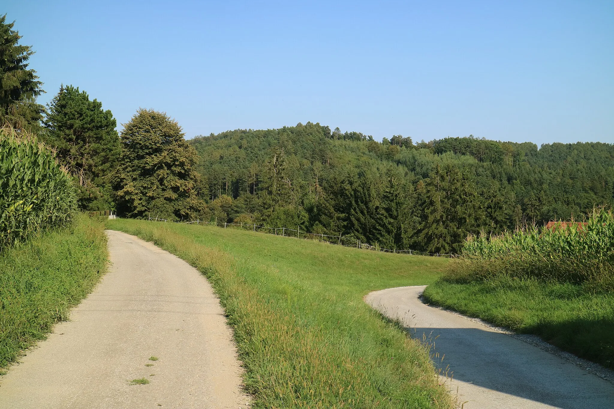 Photo showing: Schweinberg von Westen, Graz-Ries