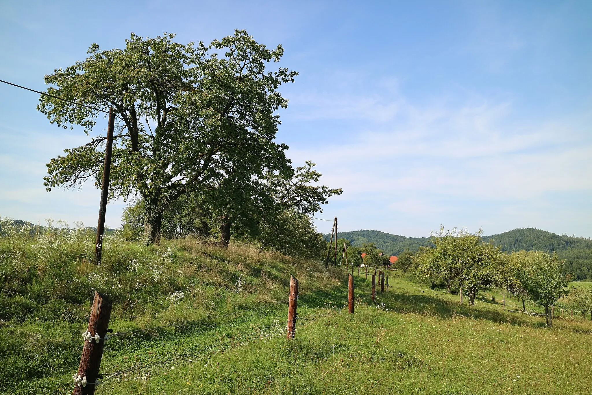 Photo showing: Wanderweg zwischen Unterthal und Unterbichl, Gemeinde Thal bei Graz (Steiermark)