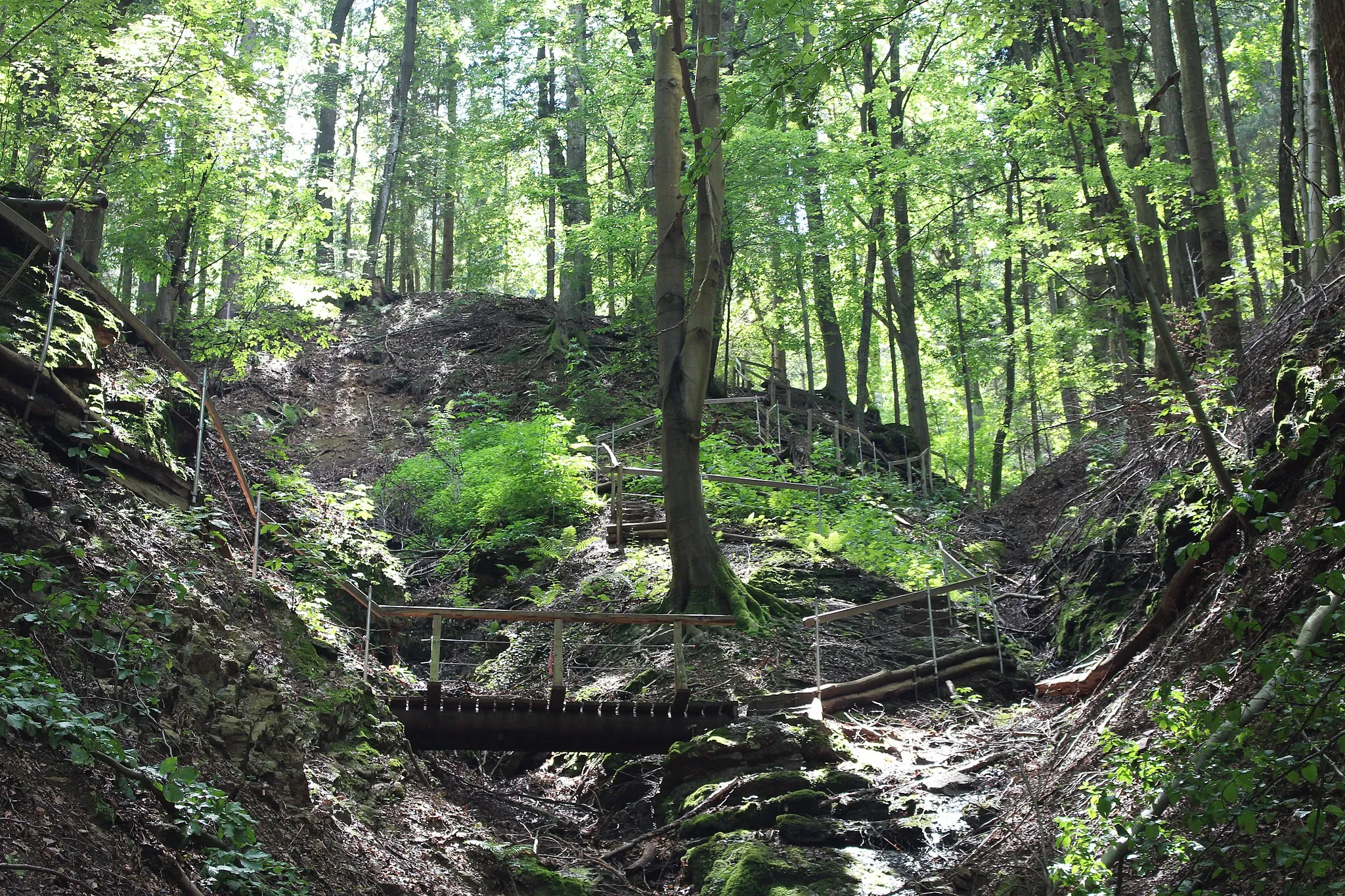 Photo showing: Altenbachklamm is a ravine near Oberhaag, Styria/Austria