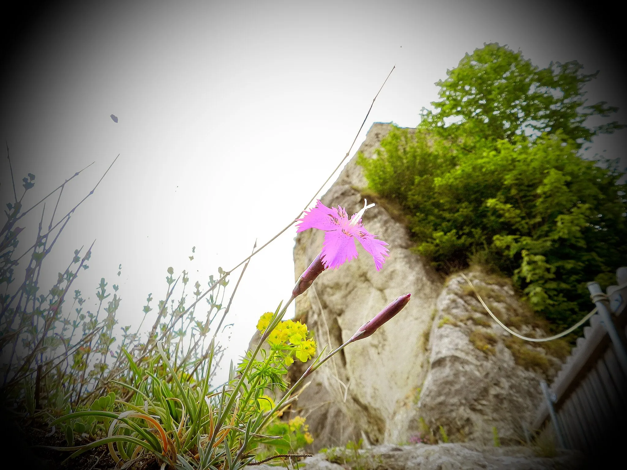 Photo showing: Burgruine Eppenstein. Felswand, auf deren Spitze die Ruine aufgebaut wurde.