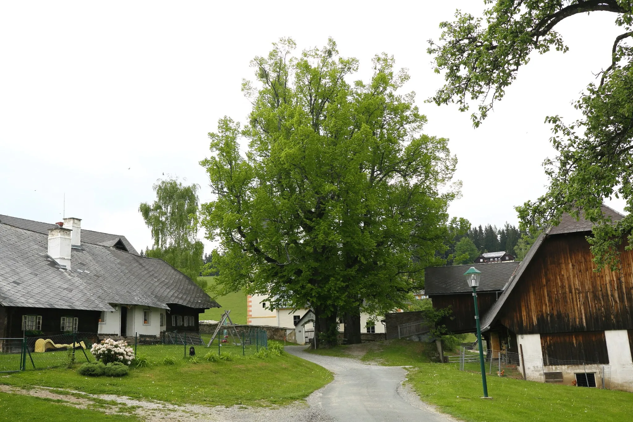 Photo showing: This media shows the natural monument in Styria  with the ID 409.