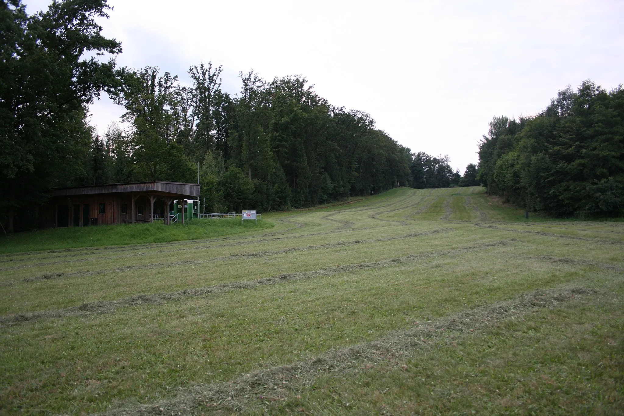 Photo showing: Skilift am Gedersberg (Sommer)