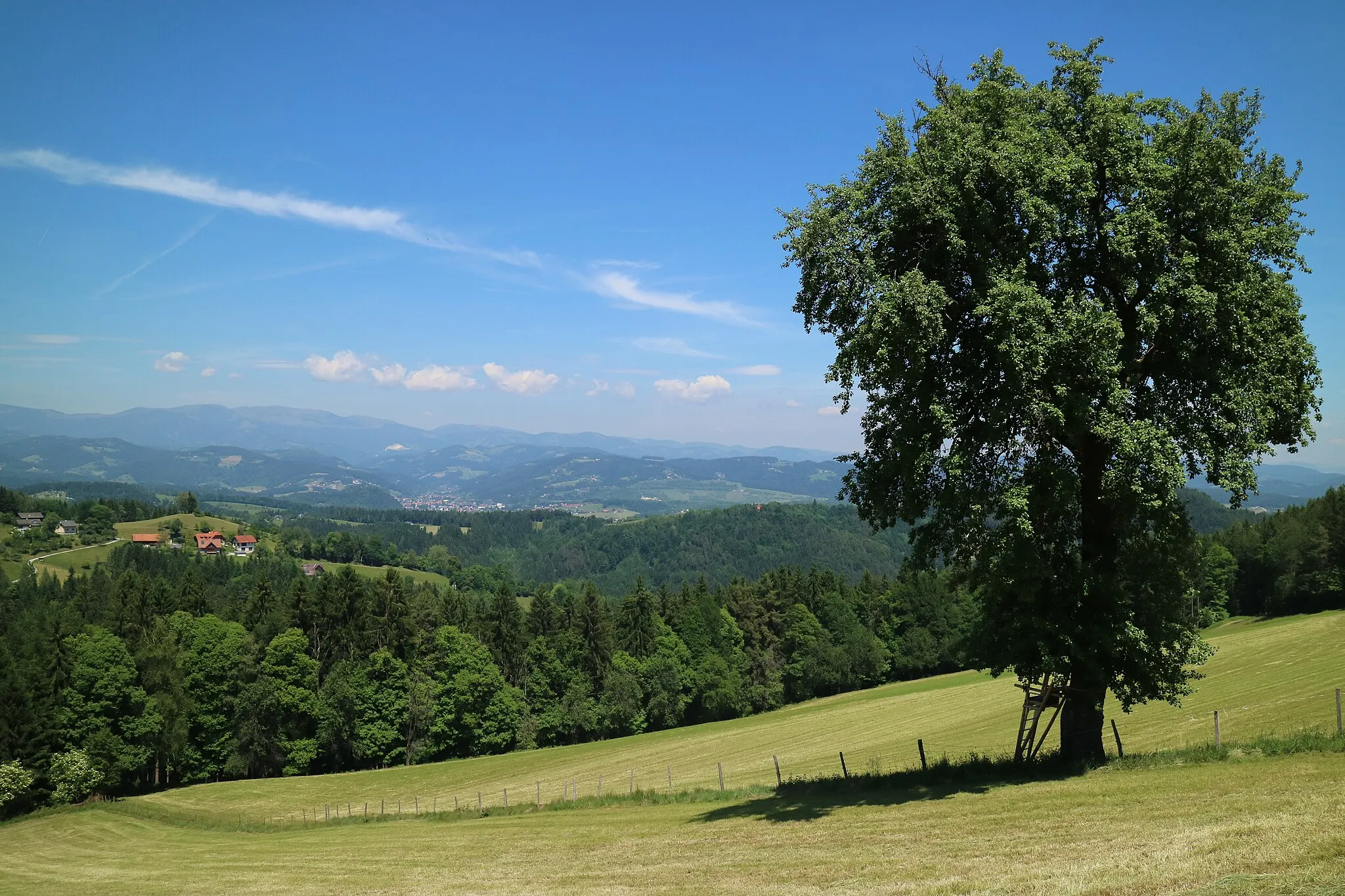 Photo showing: Landschaft bei Großwöllmiß (Gemeinde Sankt Martin am Wöllmißberg), Steiermark
