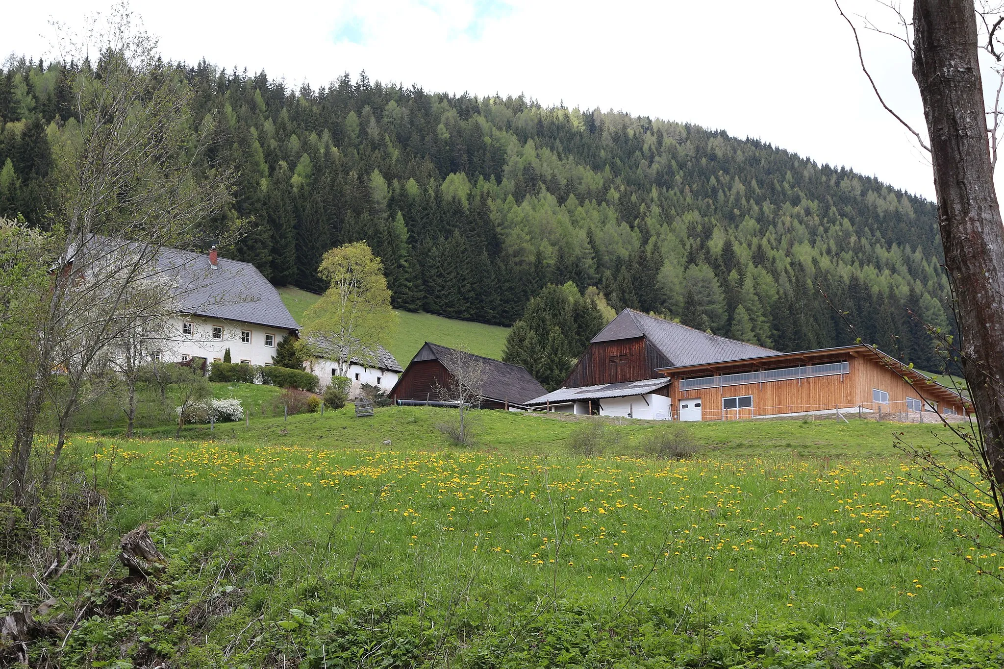 Photo showing: Bauernhofanlage Schaffer in Pölstal (Katastralgemeinde: Sankt Johann am Tauern)