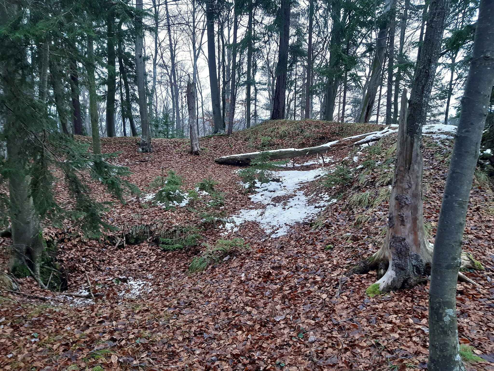 Photo showing: Wall der Burg Luegg