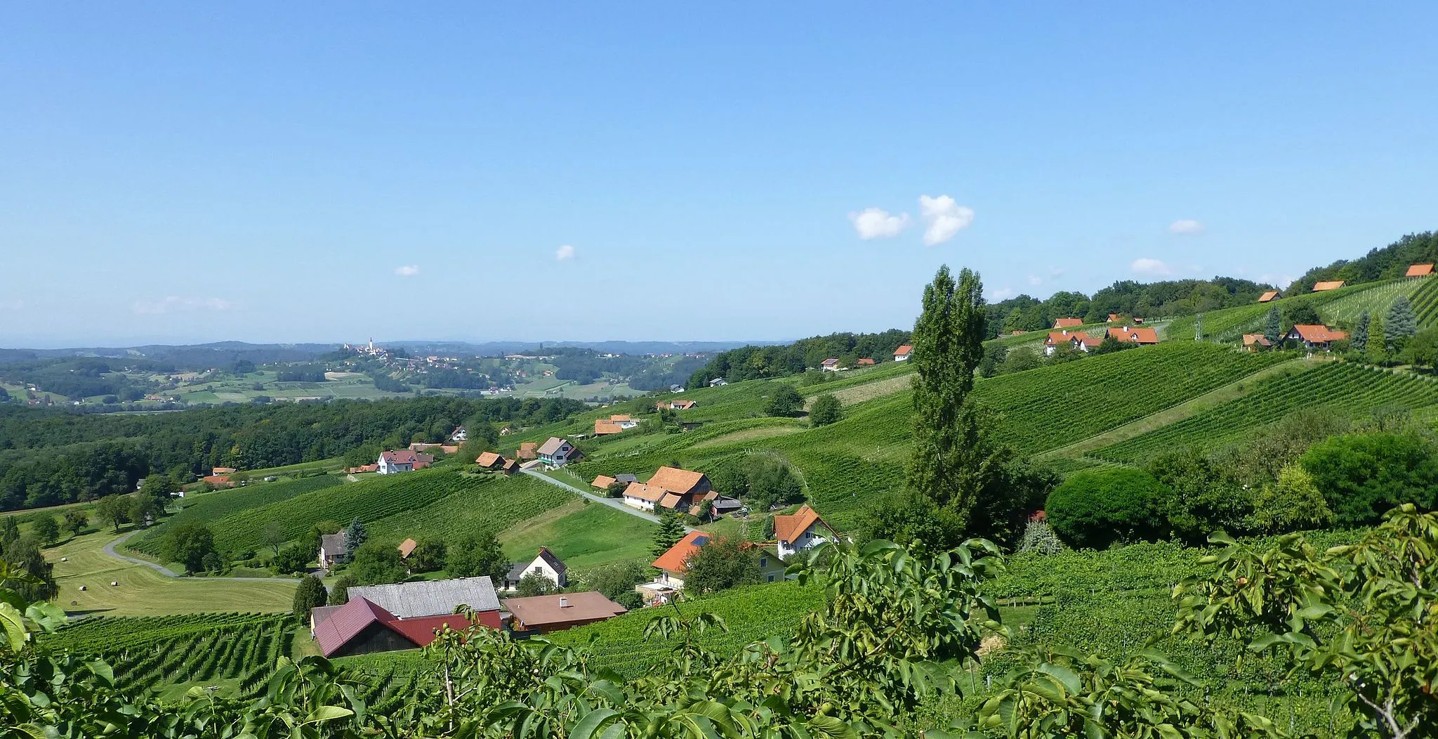 Photo showing: Vineyards in Südoststeiermark  District - ex Radkersburg - near Stainz bei Straden .