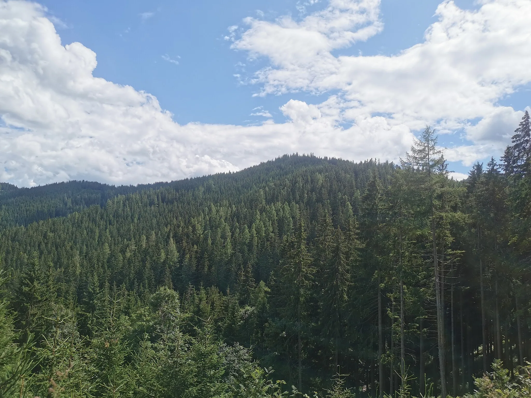 Photo showing: Blick von Norden (Hochanger) auf den Berg namens "Bei den drei Pfarren". Teil der Hochalm, Gleinalpe, Steiermark