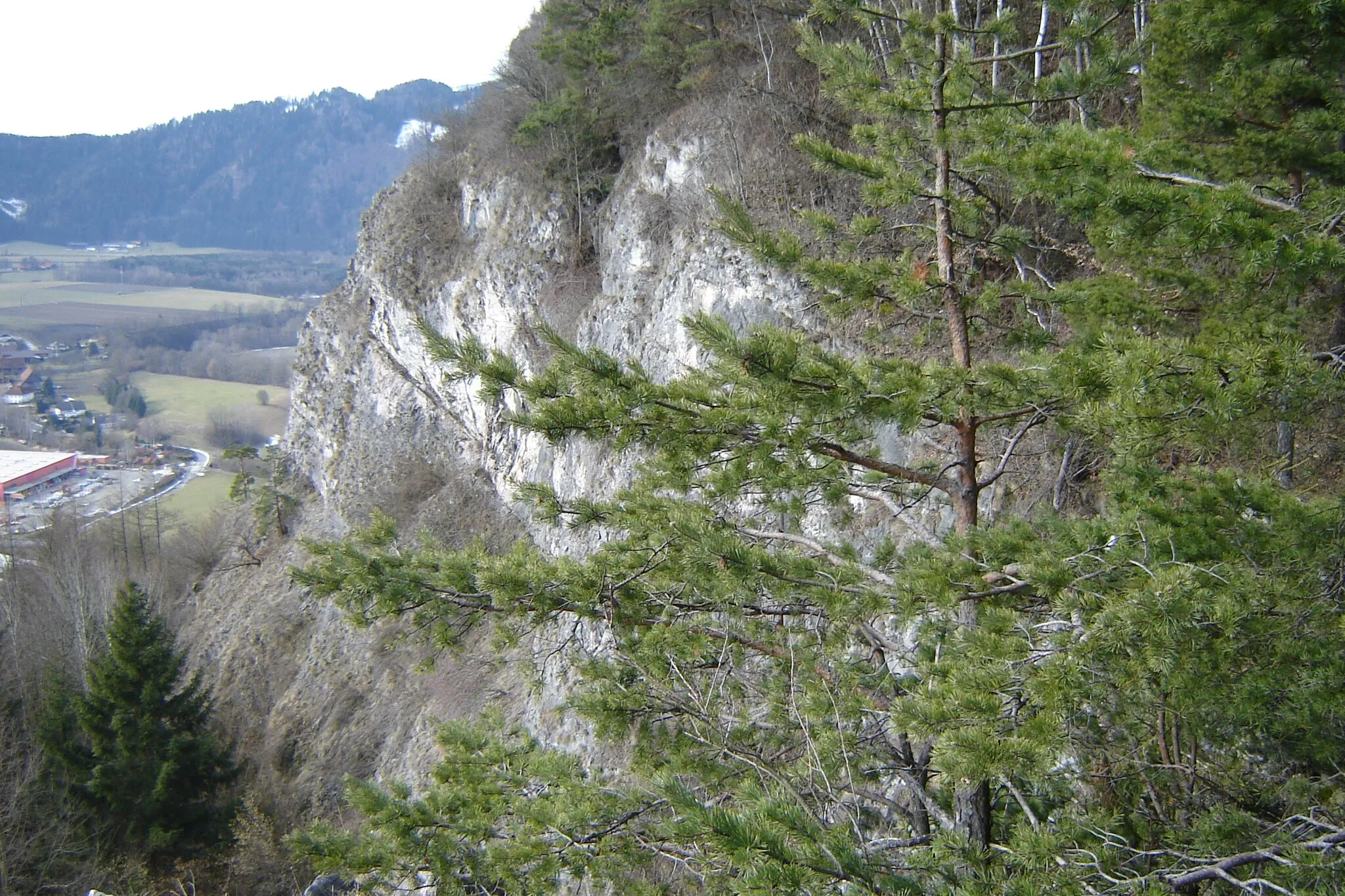 Photo showing: This media shows the nature reserve in Styria  with the ID NSG 90 c.