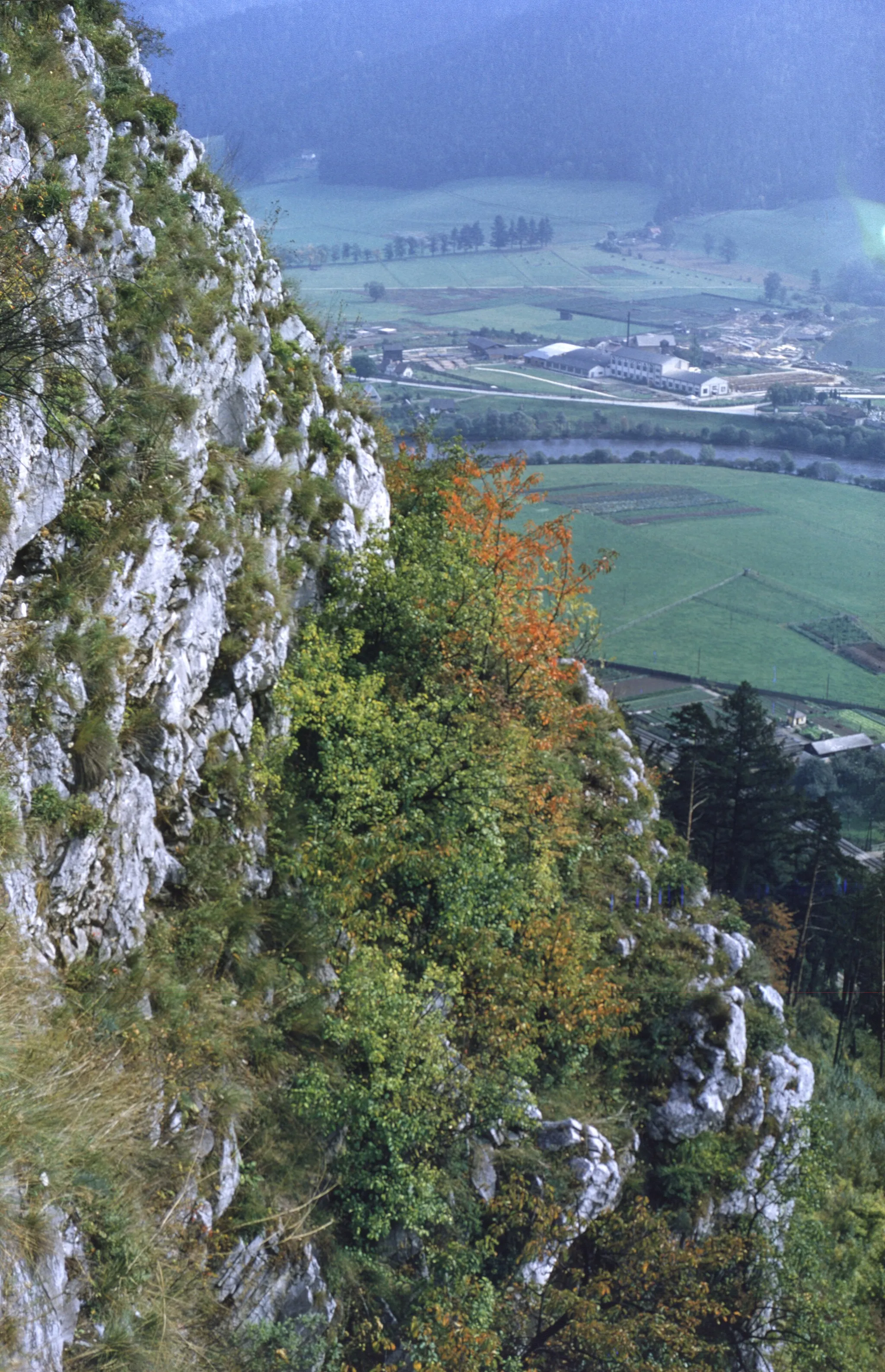 Photo showing: Blick vom Häuselberg in de:Leoben über die Lessnerwand in den Ortsteil Göss, 1955. Steiermark, Österreich