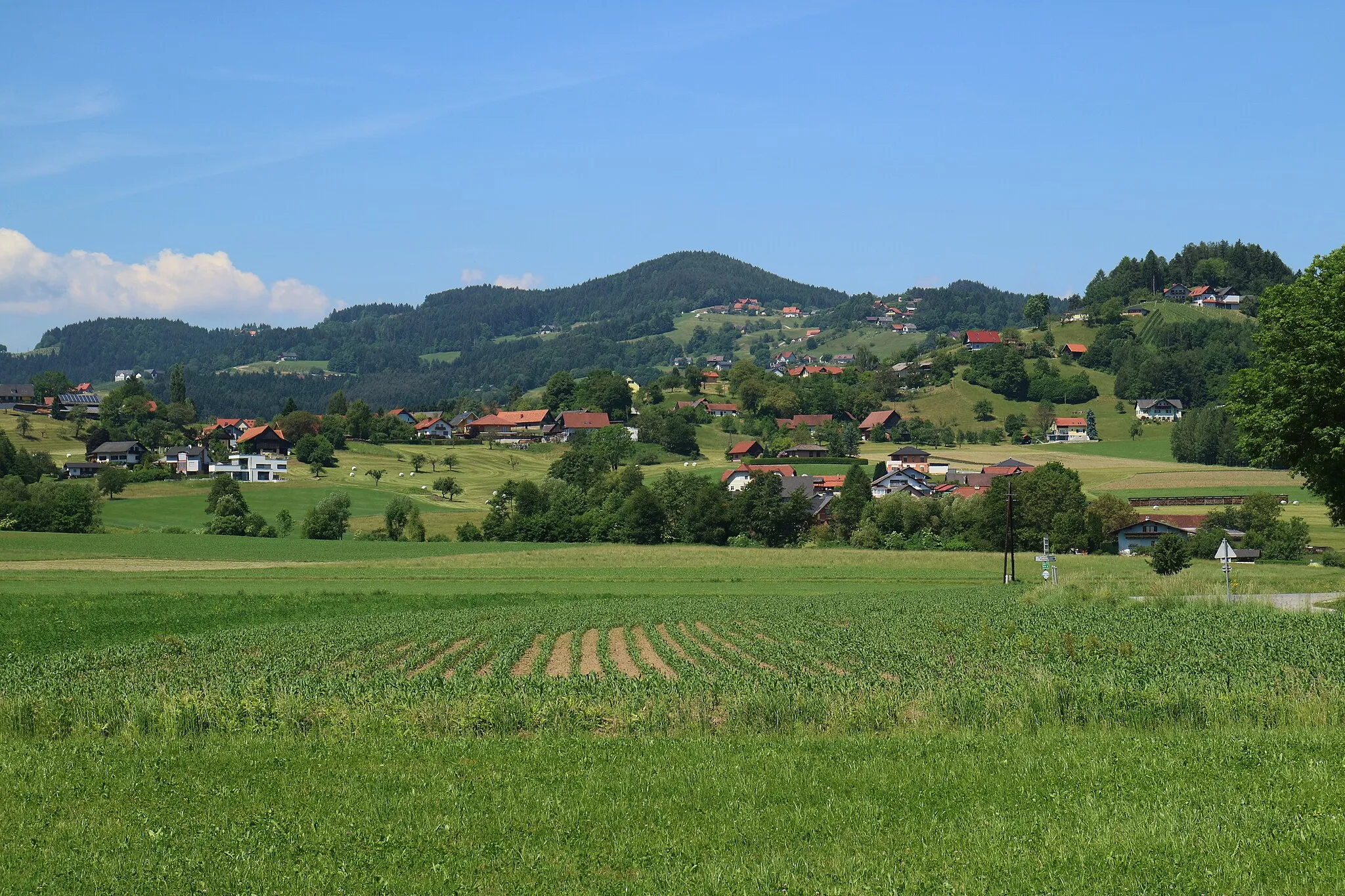 Photo showing: Blick von Hallersdorf (Gemeinde Söding-Sankt Johann) zum Wartenstein