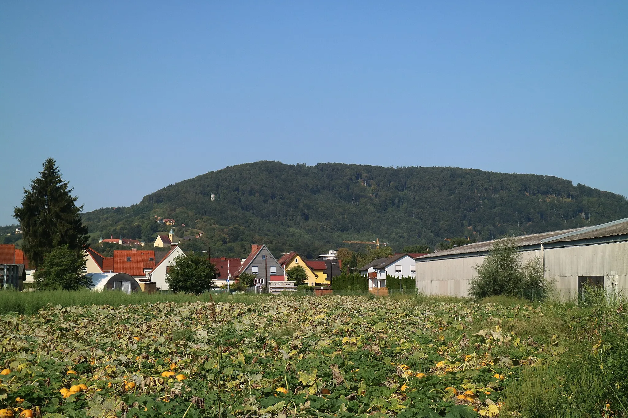 Photo showing: Buchkogel von Osten, Graz-Straßgang