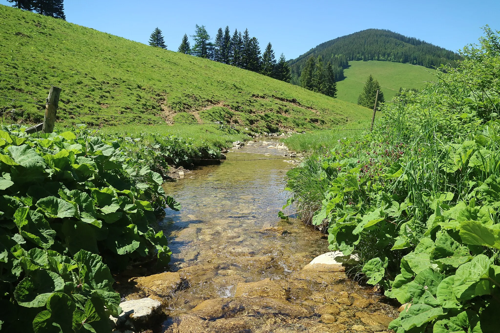 Photo showing: Mixnitzbach zwischen Sommeralm und Teichalm, im Hintergrund der Osser, Grazer Bergland, Steiermark