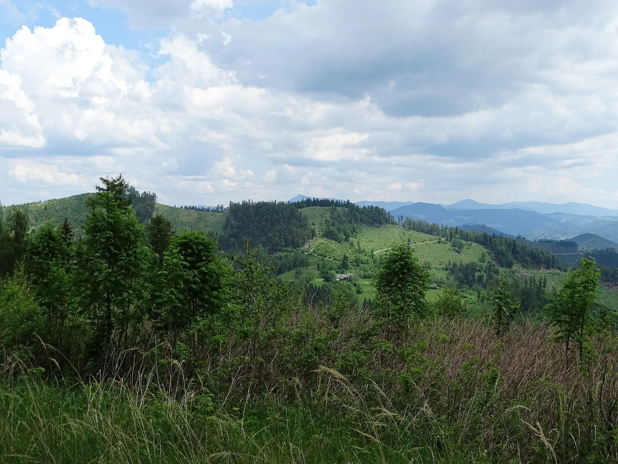 Photo showing: Blick vom Pleschkogel auf den Heiggerkogel