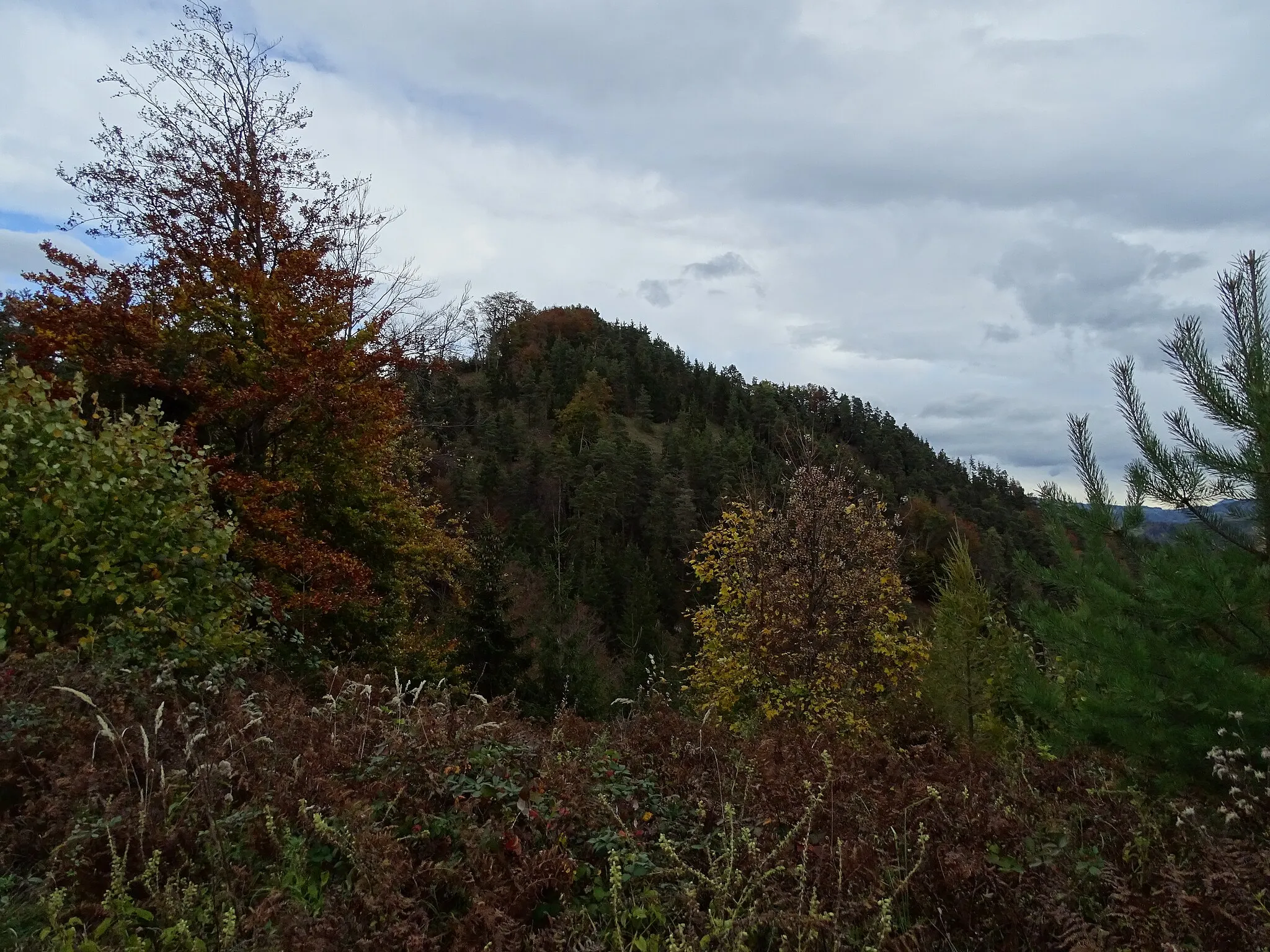 Photo showing: Blick vom Wanderweg auf den Gipfel des Pfaffenkogel bei Deutschfeistritz