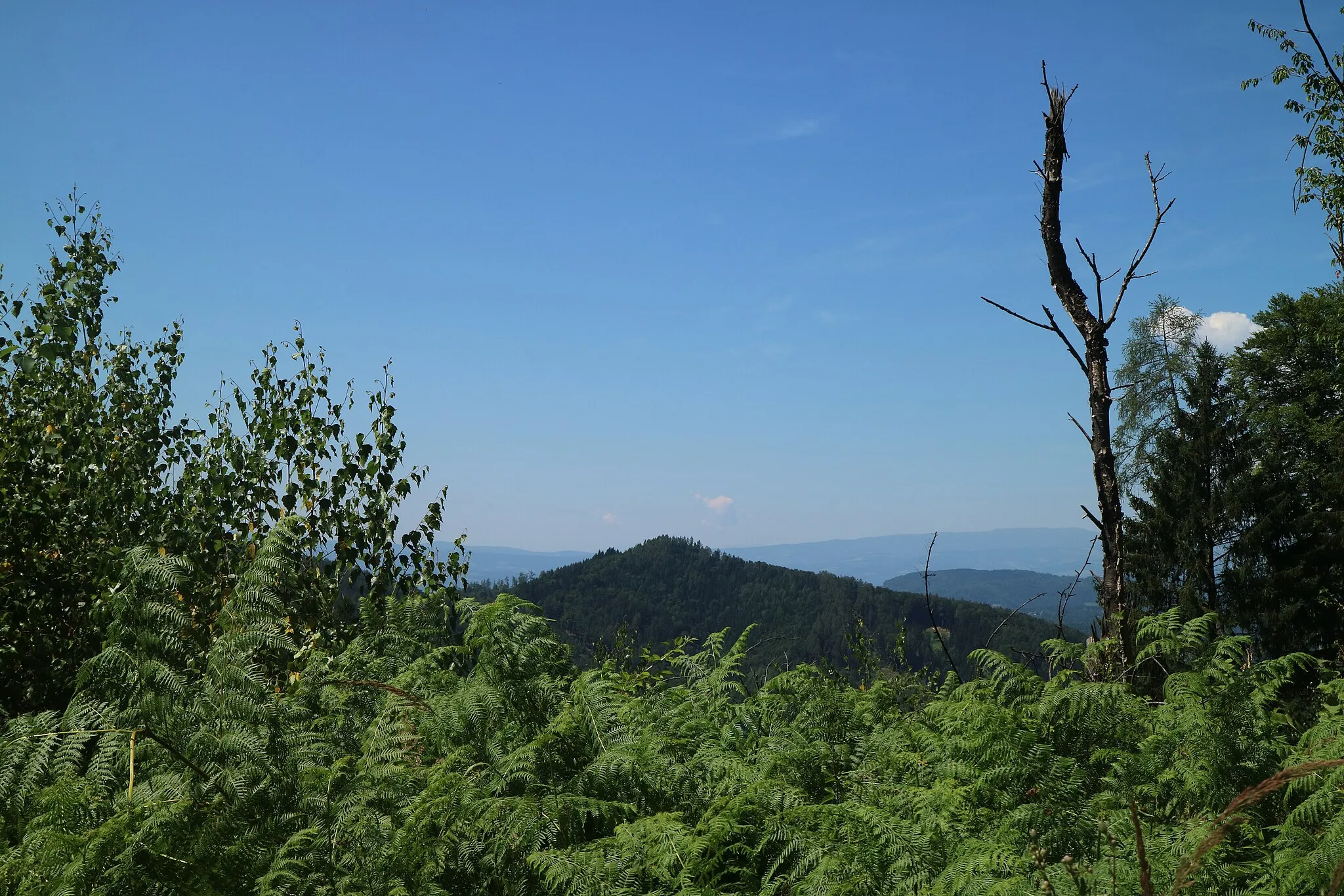 Photo showing: Blick vom Frauenkogel zum Generalkogel, Marktgemeinde Gratwein-Straßengel