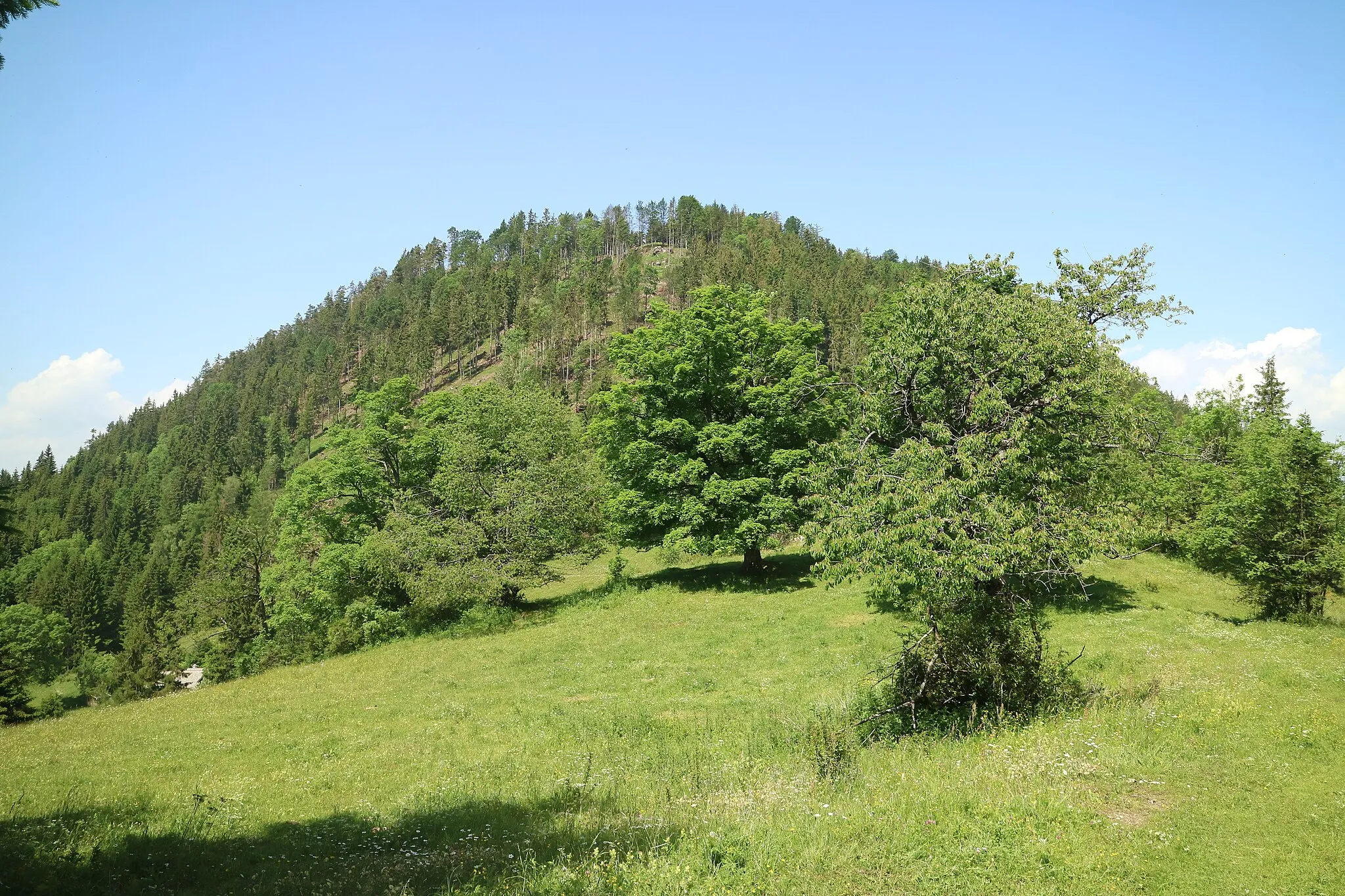 Photo showing: Kuhweide am Hochtrötsch, Marktgemeinde Semriach (Steiermark)