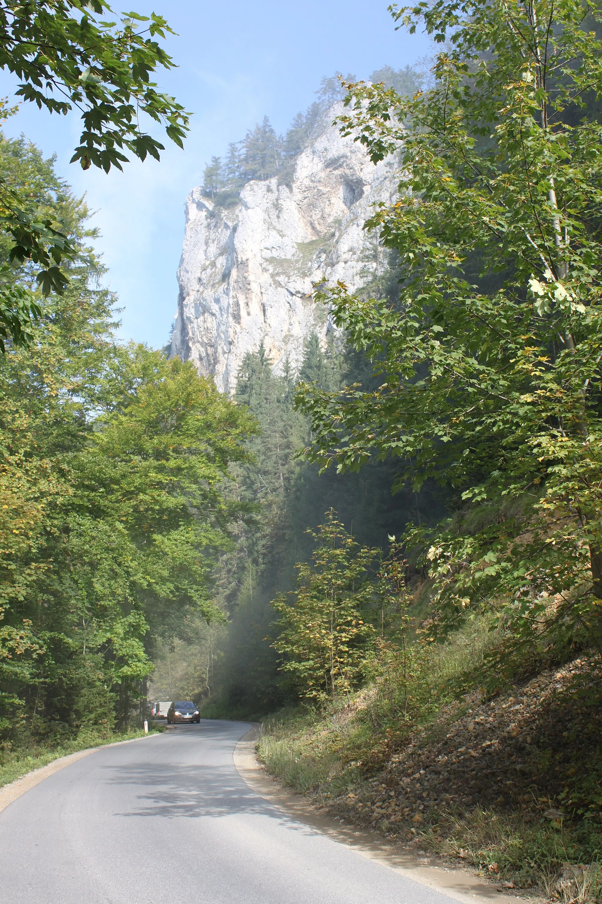 Photo showing: Raabklamm, Ansicht der Wand des Berges Gösser (1034m) am Raabtalradweg R11 zwischen Passail (Blickrichtung Passail) und Dürntal (Gemeinde Naas); Gemeindegebiet des Straßenabschnittes fraglich, könnte auch Arzberg (Steiermark) sein