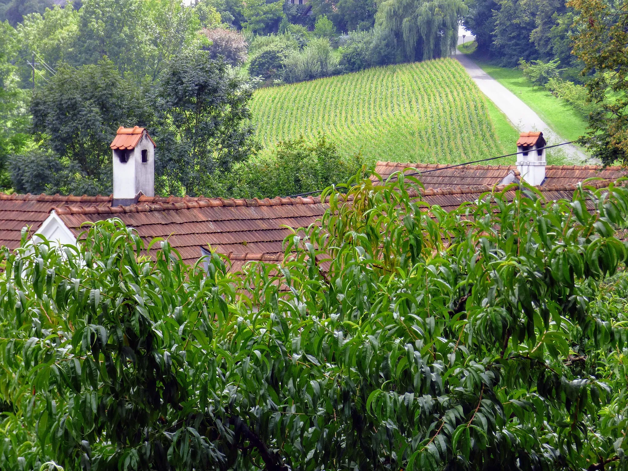 Photo showing: Bauernhof bei Schiessl, Gemeinde Fehring
