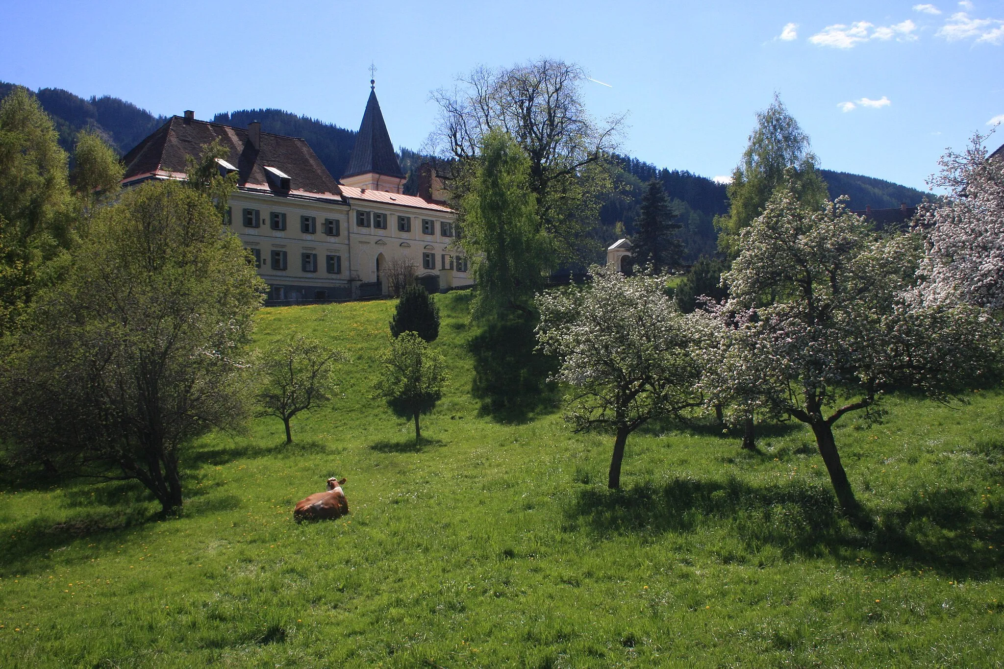 Photo showing: Gaal - im Hintergrund Schloss Wasserberg