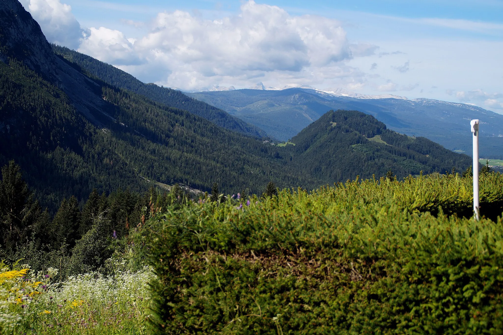 Photo showing: Beim Dachsteinblick, Blick zum Kulmkogel und zum Dachsteingebirge. Wörschachwald. Stainach-Pürgg, Steiermark, Österreich