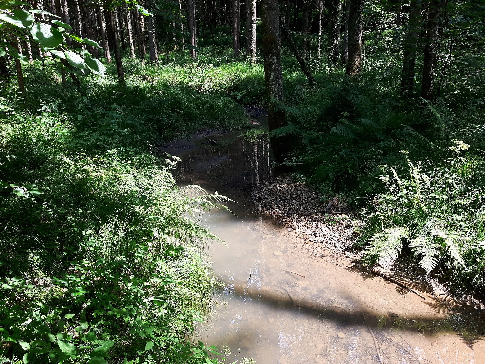 Photo showing: The Schüttingbach north of Berndorf