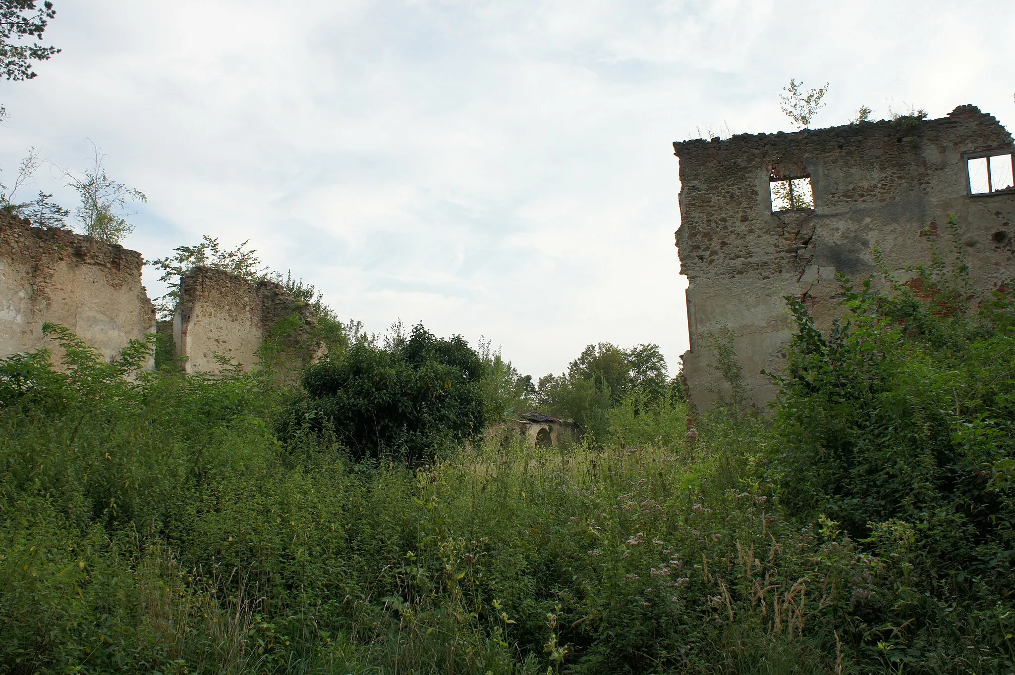 Photo showing: Castle ruin Bärnegg, Elsenau, Schäffern, Austria