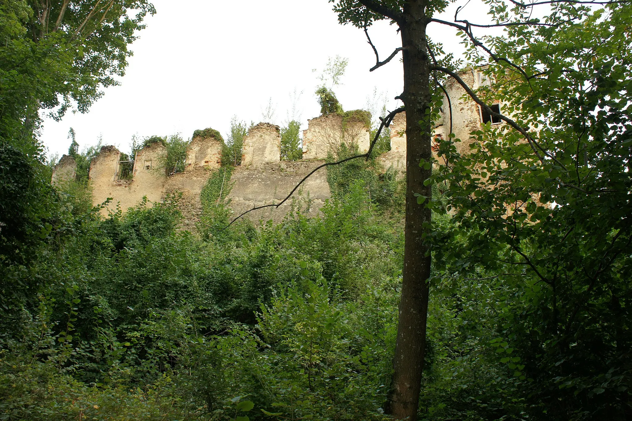 Photo showing: Castle ruin Bärnegg, Elsenau, Schäffern, Austria