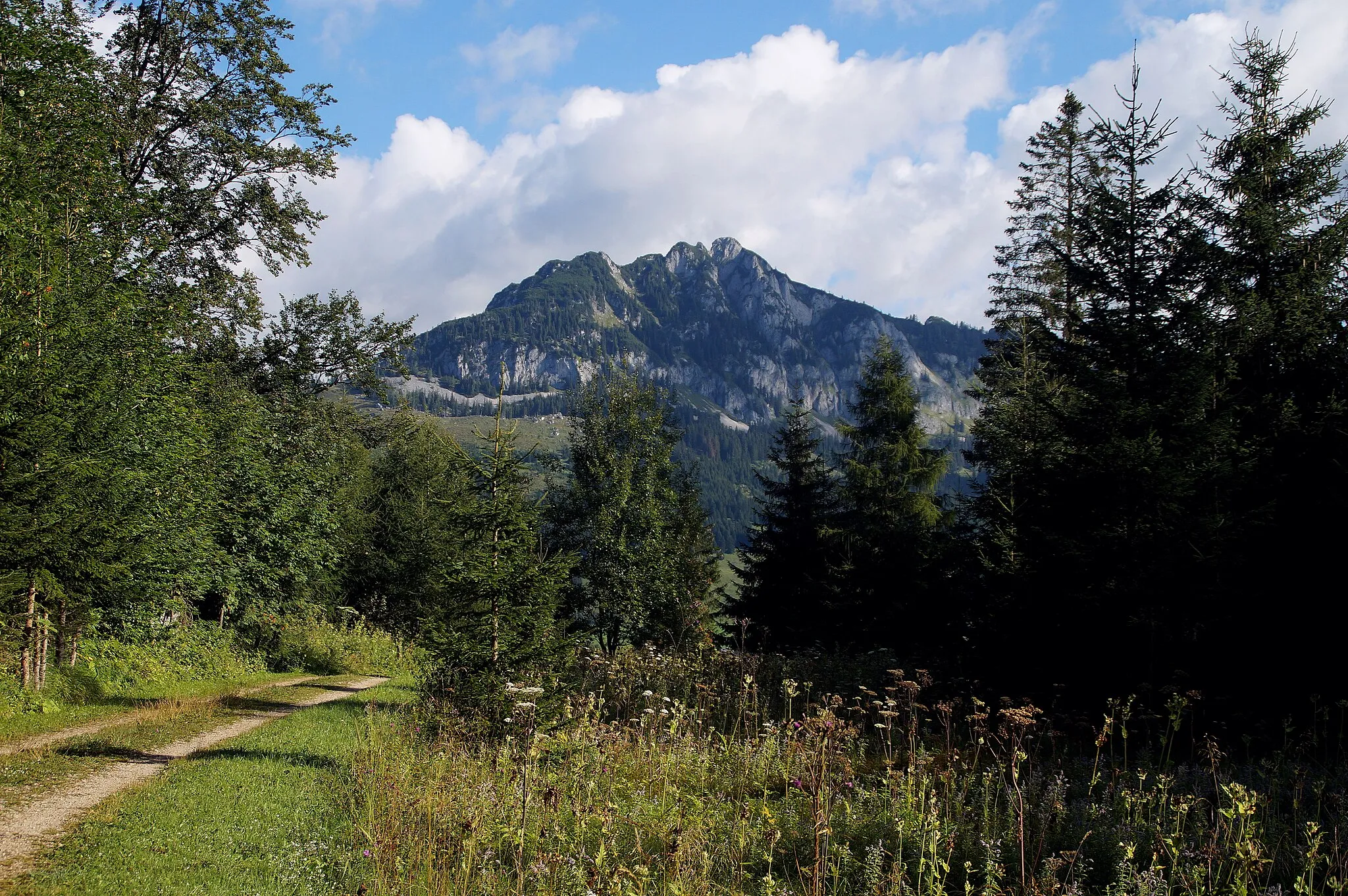 Photo showing: Anstieg zum Gindlhorn, Blick zum Hechlstein. Stainach-Pürgg, Steiermark, Österreich