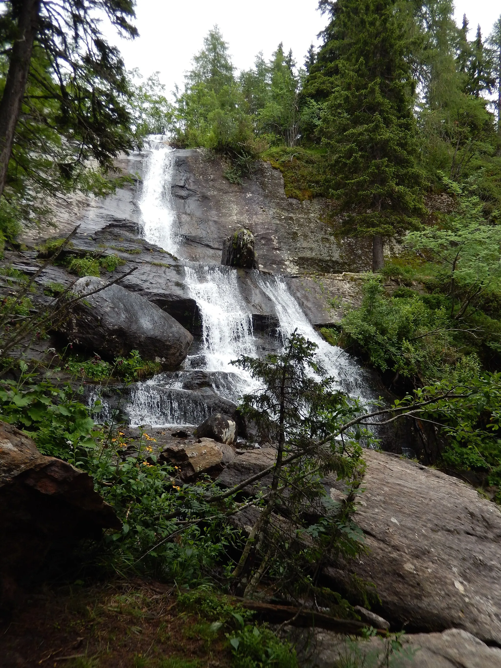 Photo showing: This media shows the natural monument in Carinthia  with the ID Wo 22.