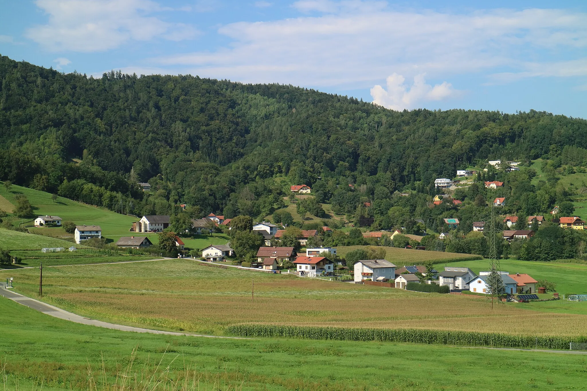 Photo showing: Steinkogel von Südwesten, Gemeinde Thal bei Graz (Steiermark)